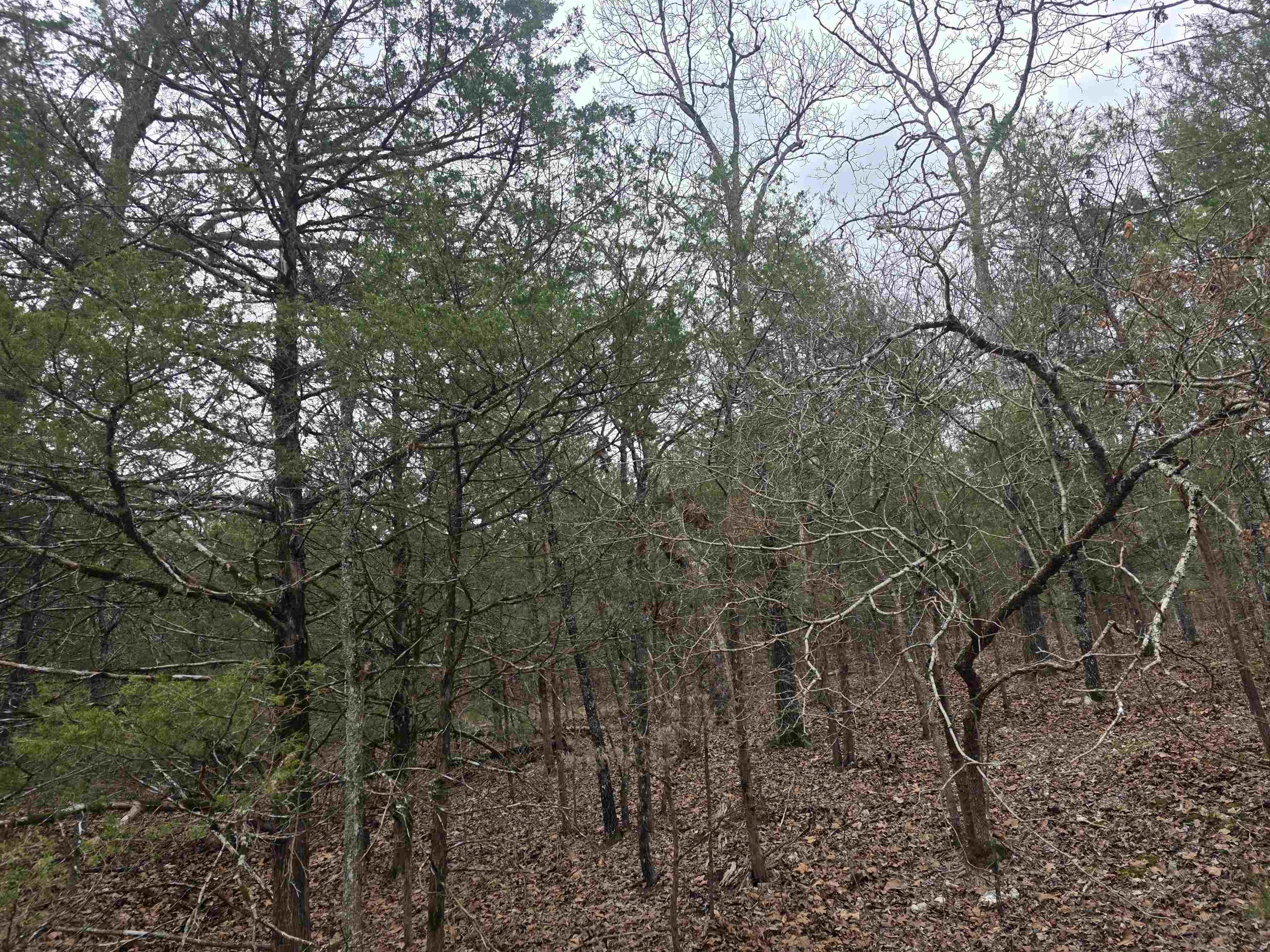 Photo 10 - Vacant Land for sale – L8 B10  Pahokee   Cherokee Village, AR