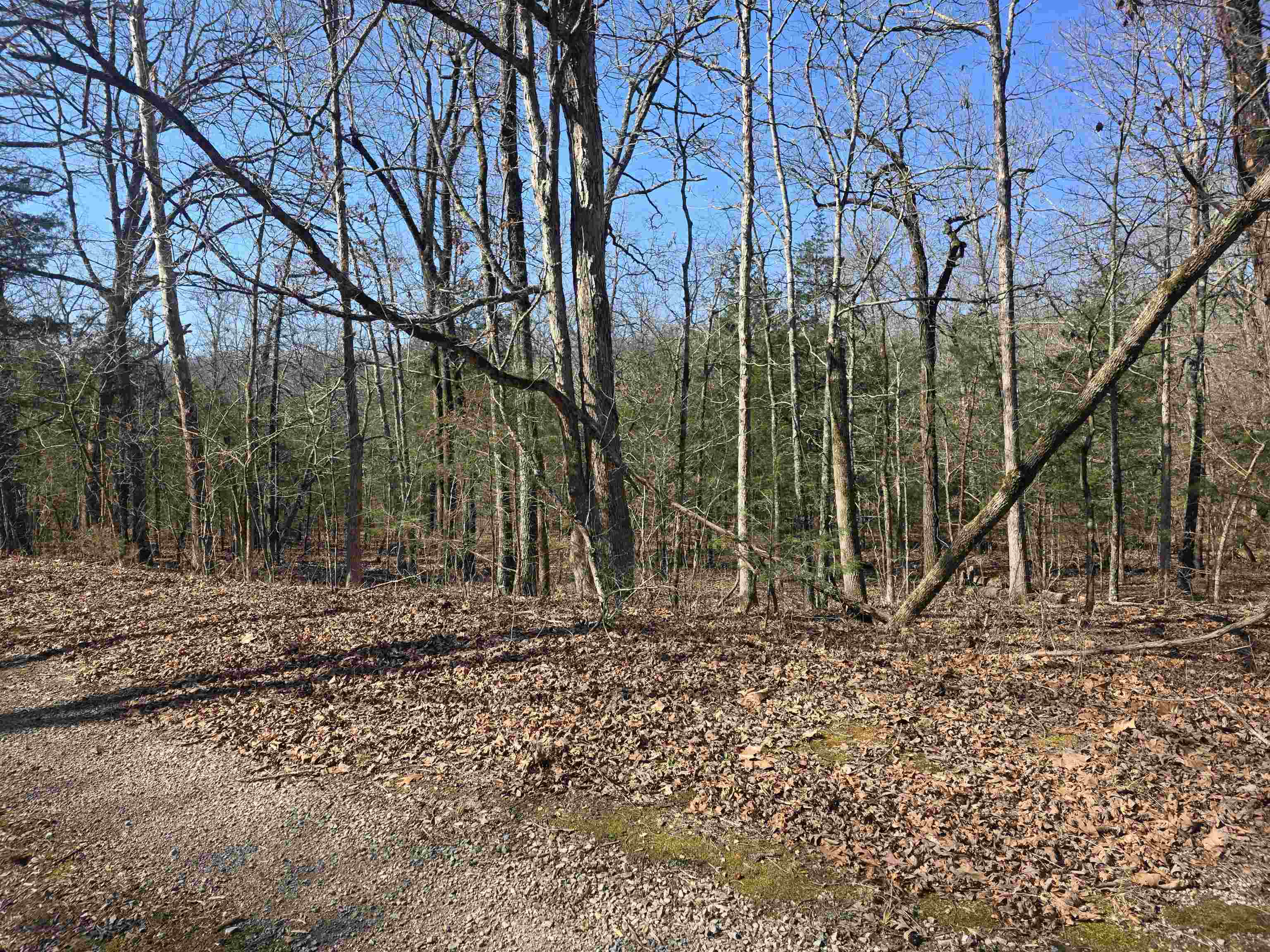 Photo 2 - Vacant Land for sale – L-45, B-9  Pahokee   Cherokee Village, AR