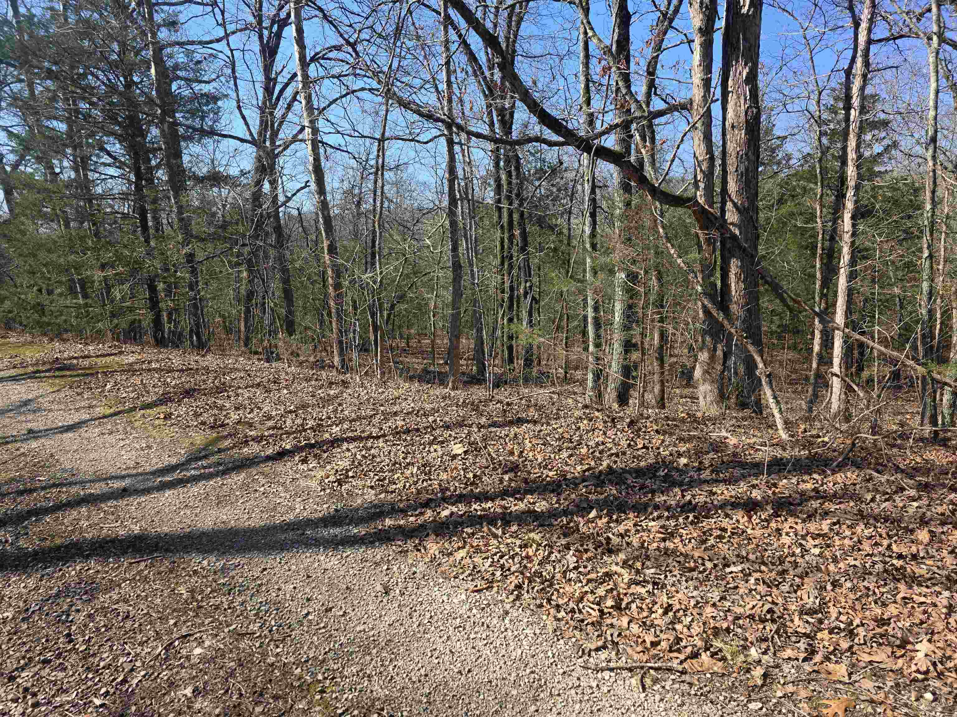 Photo 11 - Vacant Land for sale – L-45, B-9  Pahokee   Cherokee Village, AR