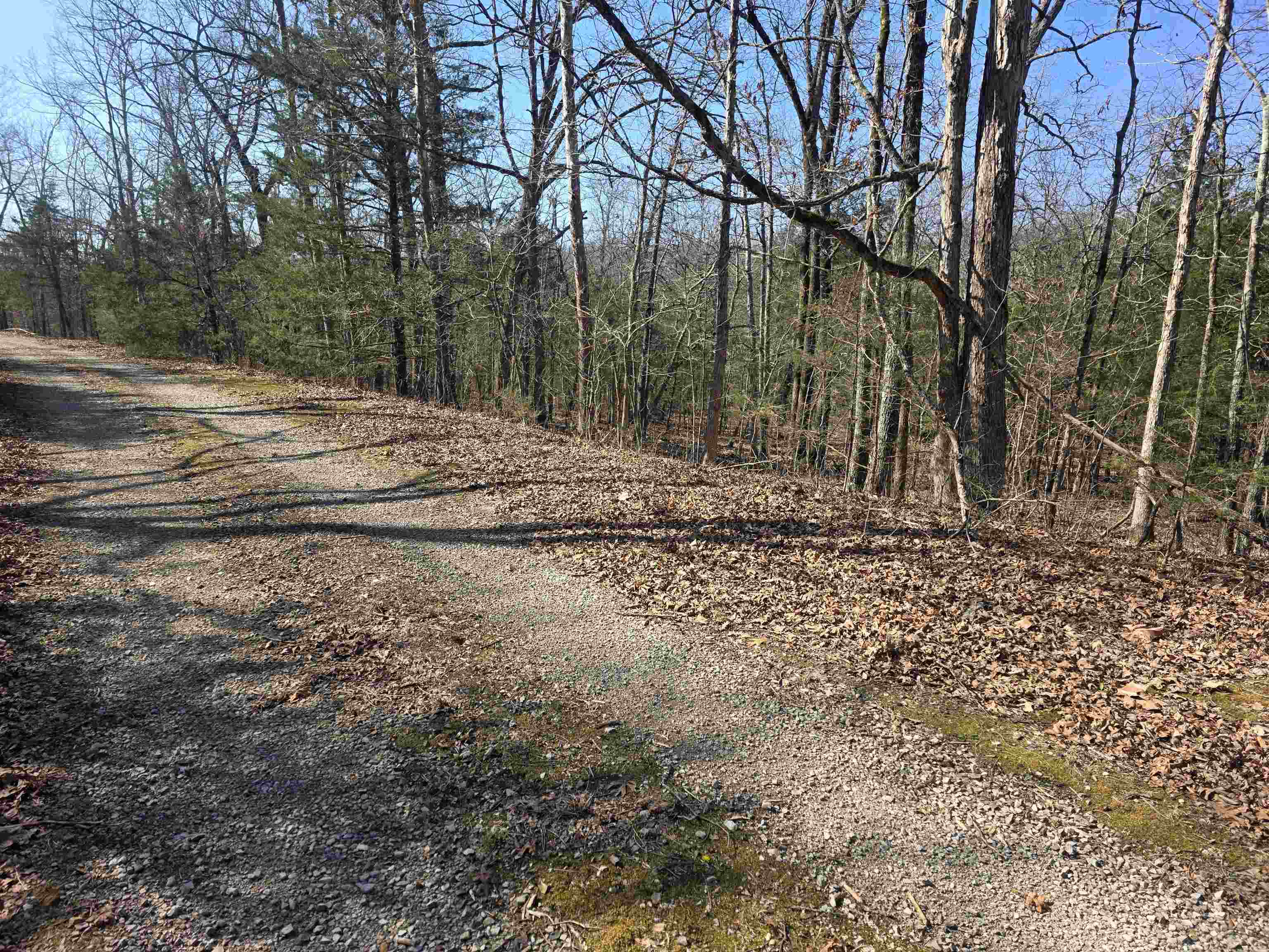 Photo 3 - Vacant Land for sale – L-45, B-9  Pahokee   Cherokee Village, AR