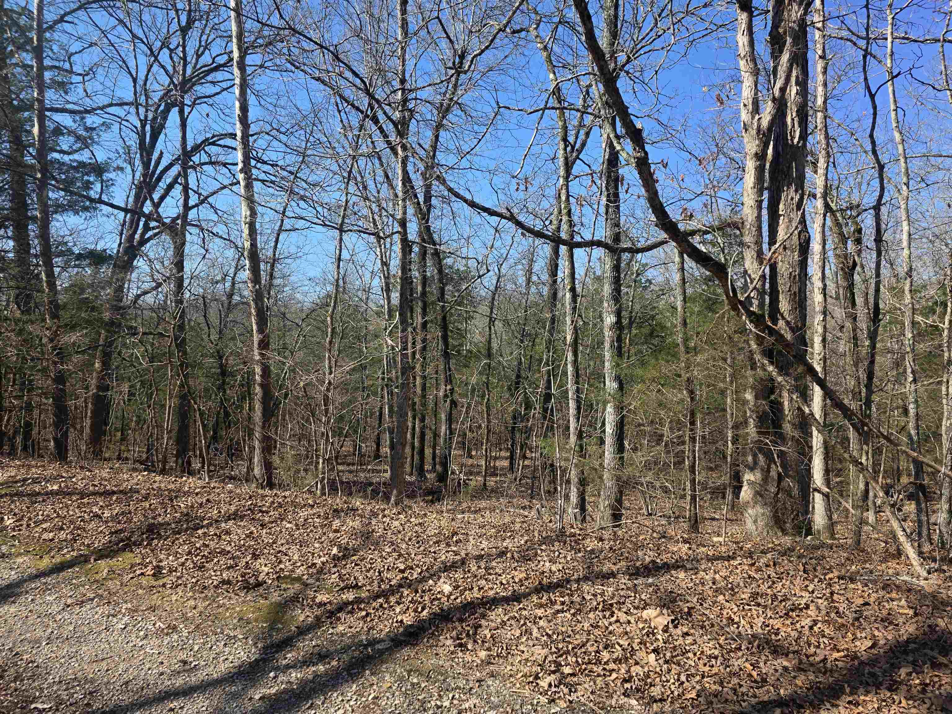 Photo 4 - Vacant Land for sale – L-45, B-9  Pahokee   Cherokee Village, AR