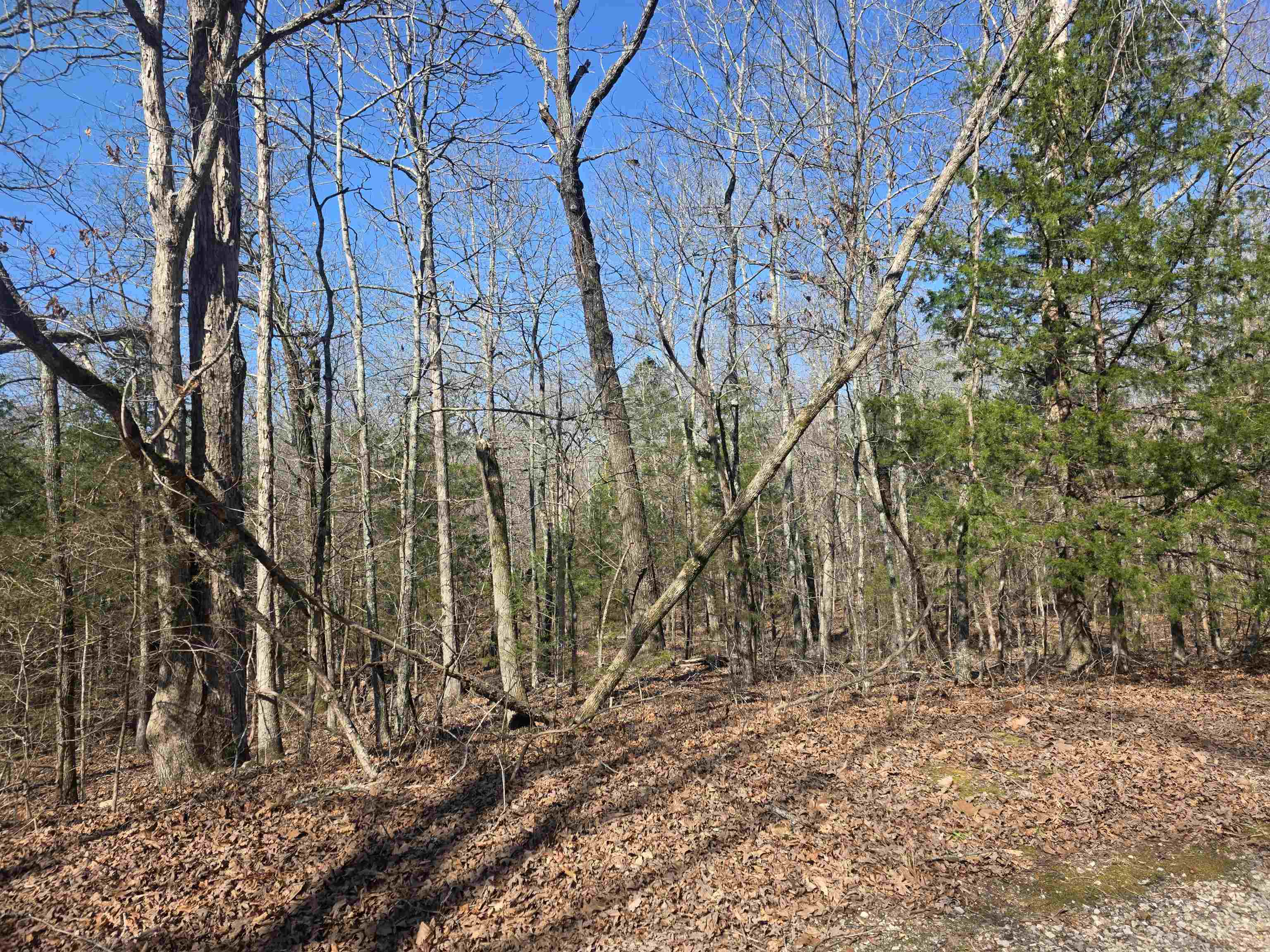 Photo 5 - Vacant Land for sale – L-45, B-9  Pahokee   Cherokee Village, AR