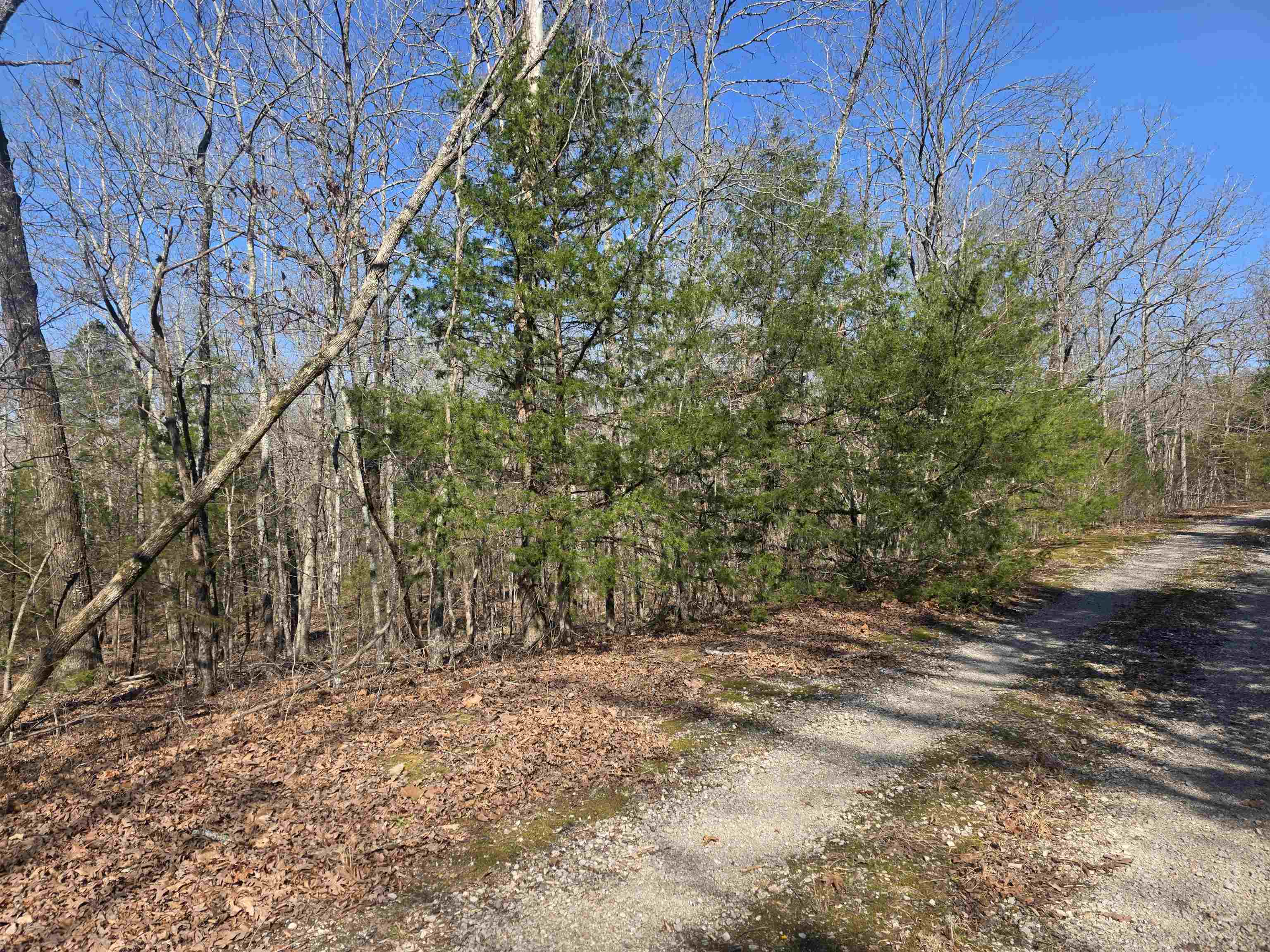 Photo 6 - Vacant Land for sale – L-45, B-9  Pahokee   Cherokee Village, AR