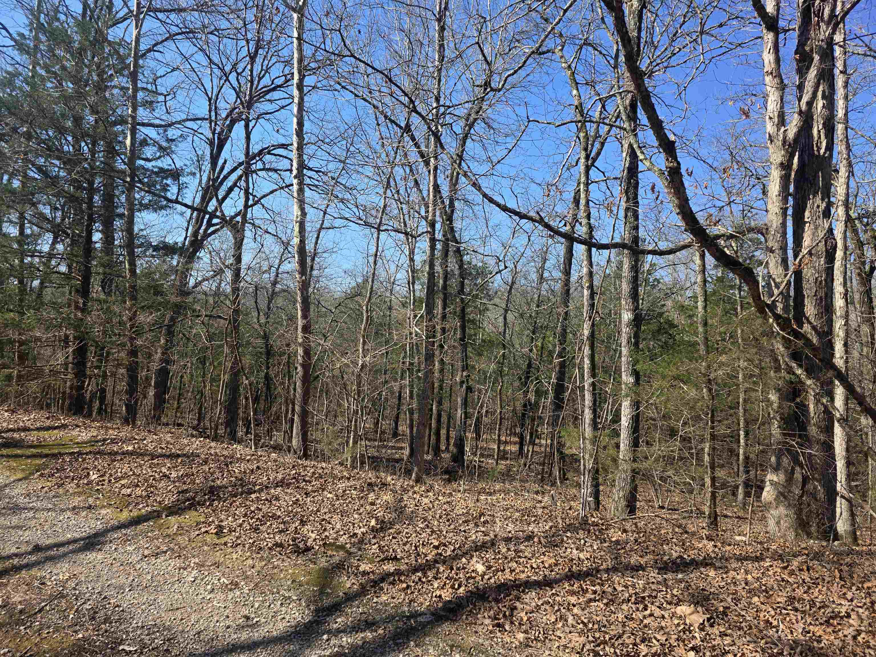 Photo 7 - Vacant Land for sale – L-45, B-9  Pahokee   Cherokee Village, AR