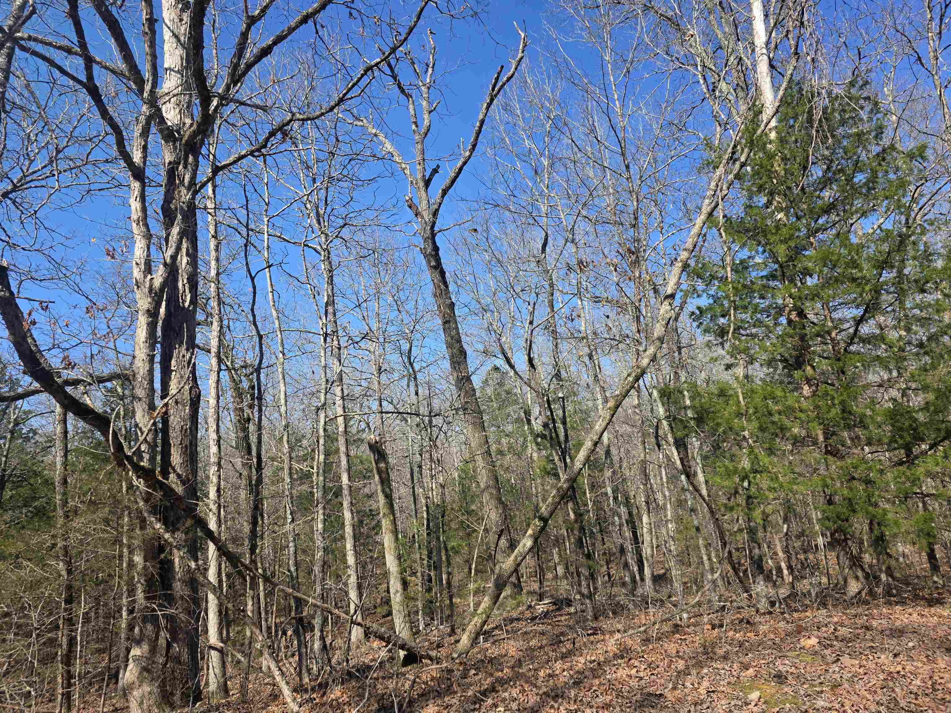 Photo 9 - Vacant Land for sale – L-45, B-9  Pahokee   Cherokee Village, AR