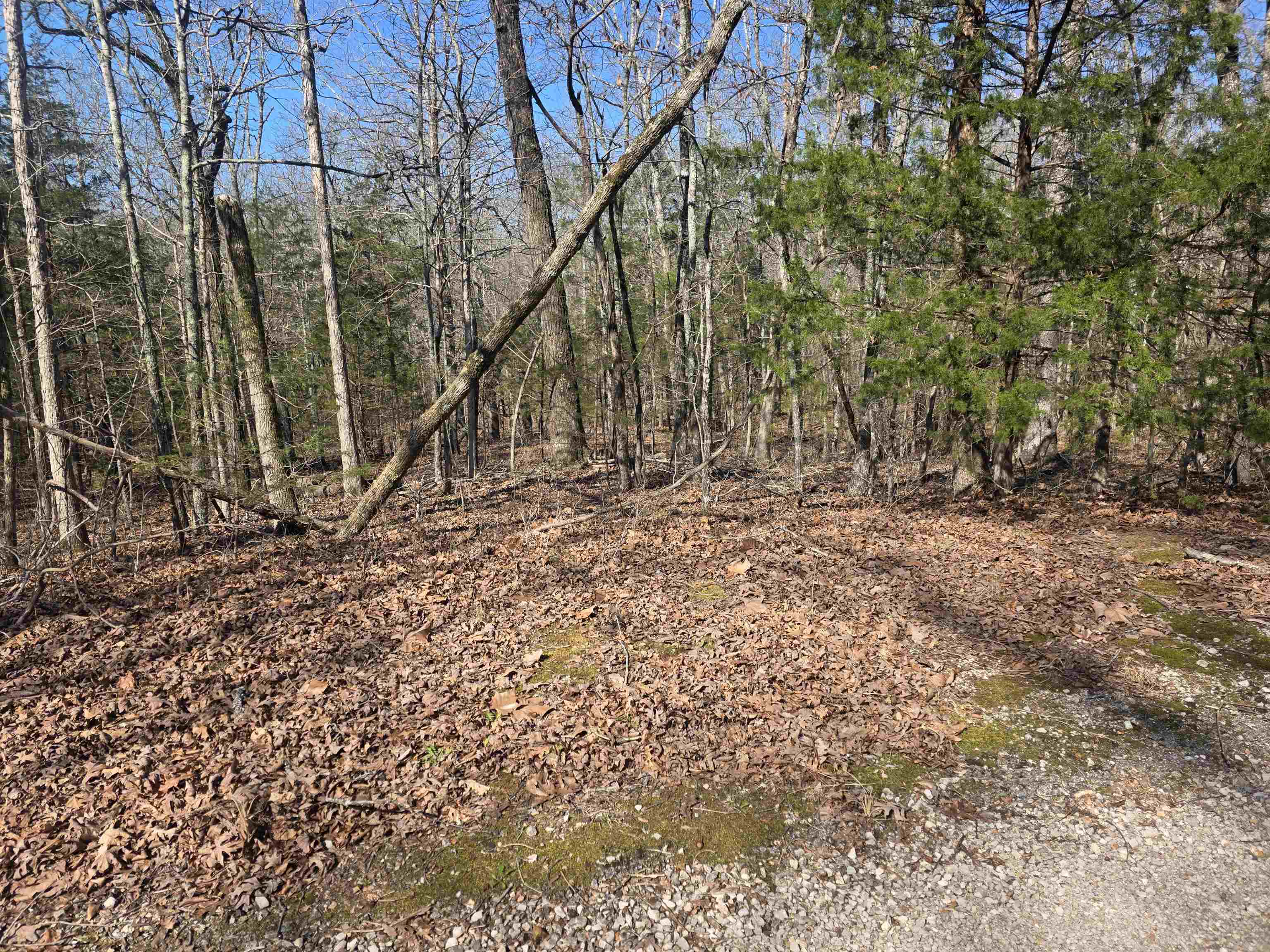 Photo 10 - Vacant Land for sale – L-45, B-9  Pahokee   Cherokee Village, AR