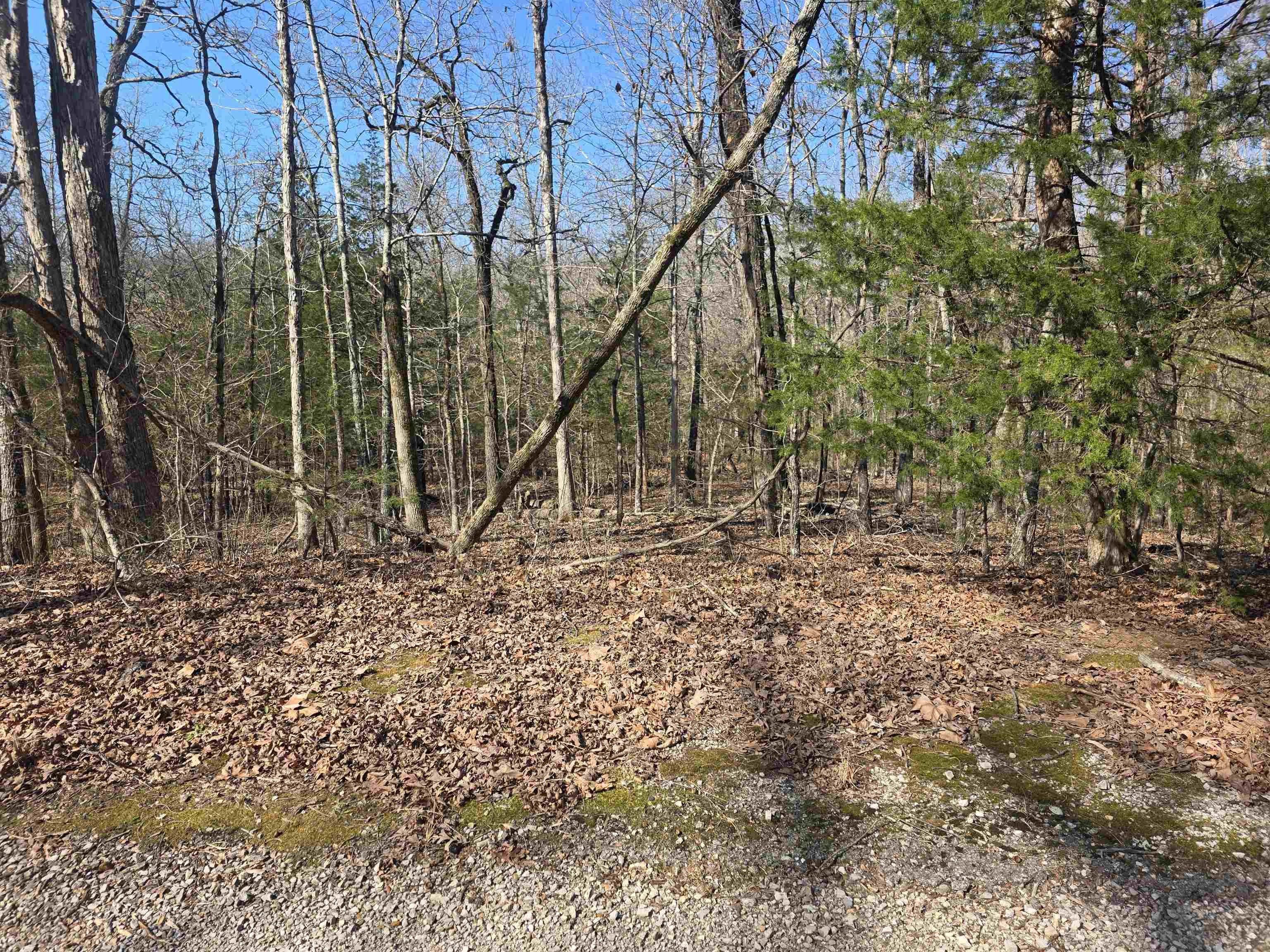 Vacant Land for sale – L44 B9  Pahokee   Cherokee Village, AR