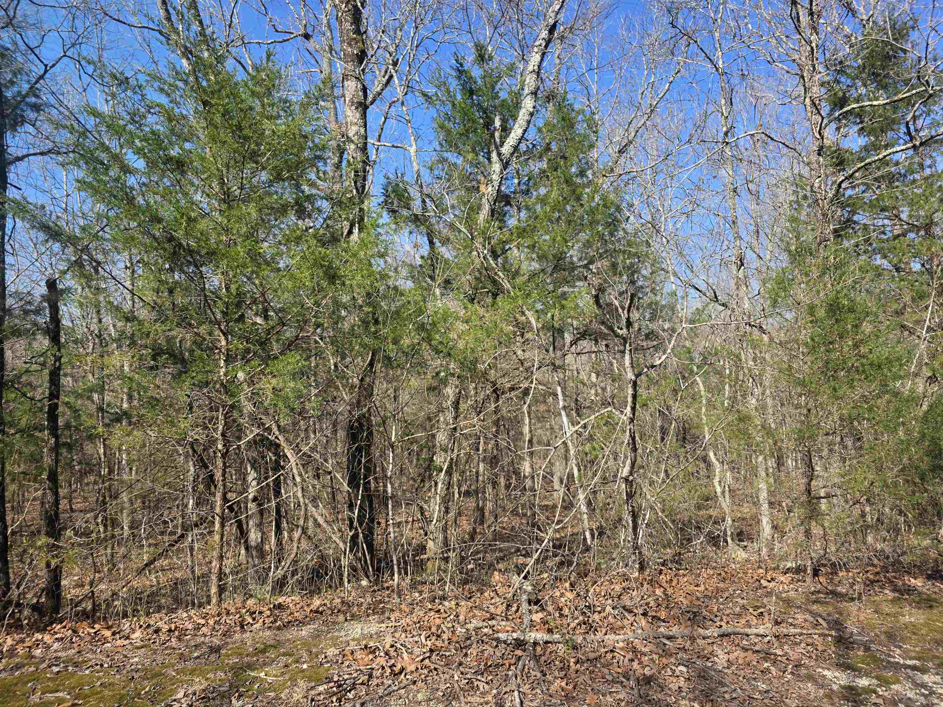 Photo 3 - Vacant Land for sale – L44 B9  Pahokee   Cherokee Village, AR