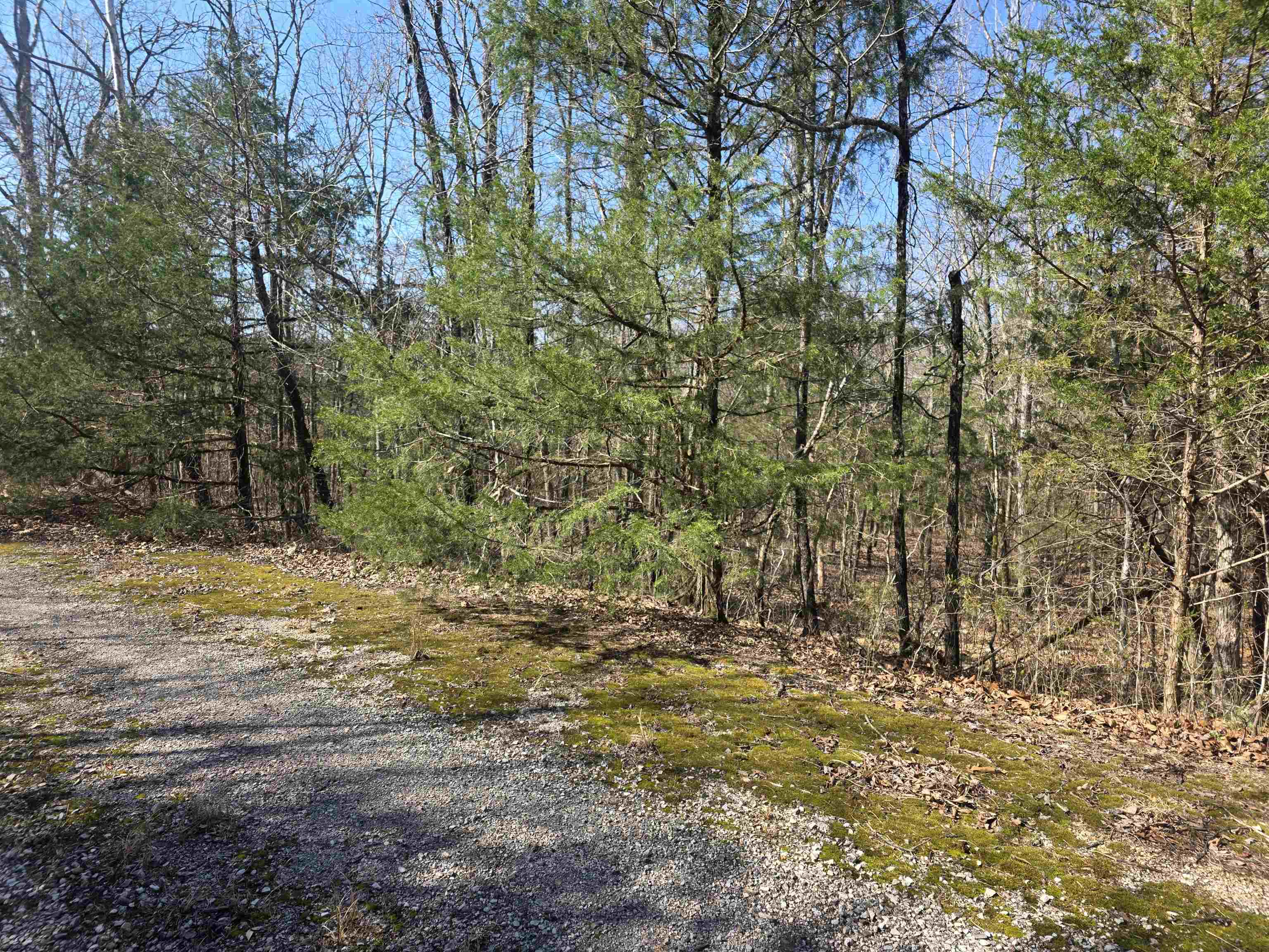 Photo 4 - Vacant Land for sale – L44 B9  Pahokee   Cherokee Village, AR