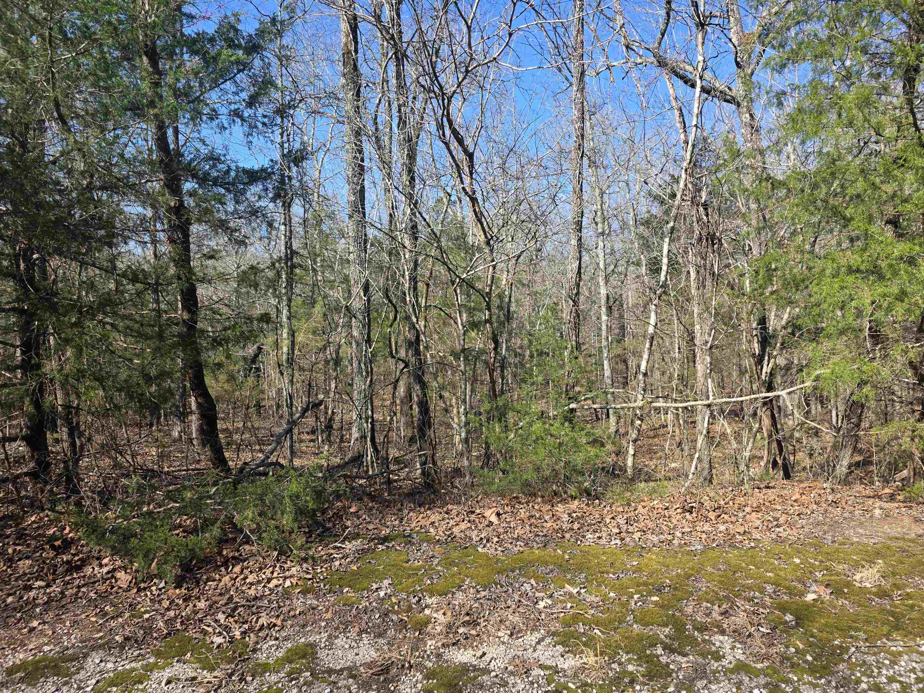 Photo 5 - Vacant Land for sale – L44 B9  Pahokee   Cherokee Village, AR