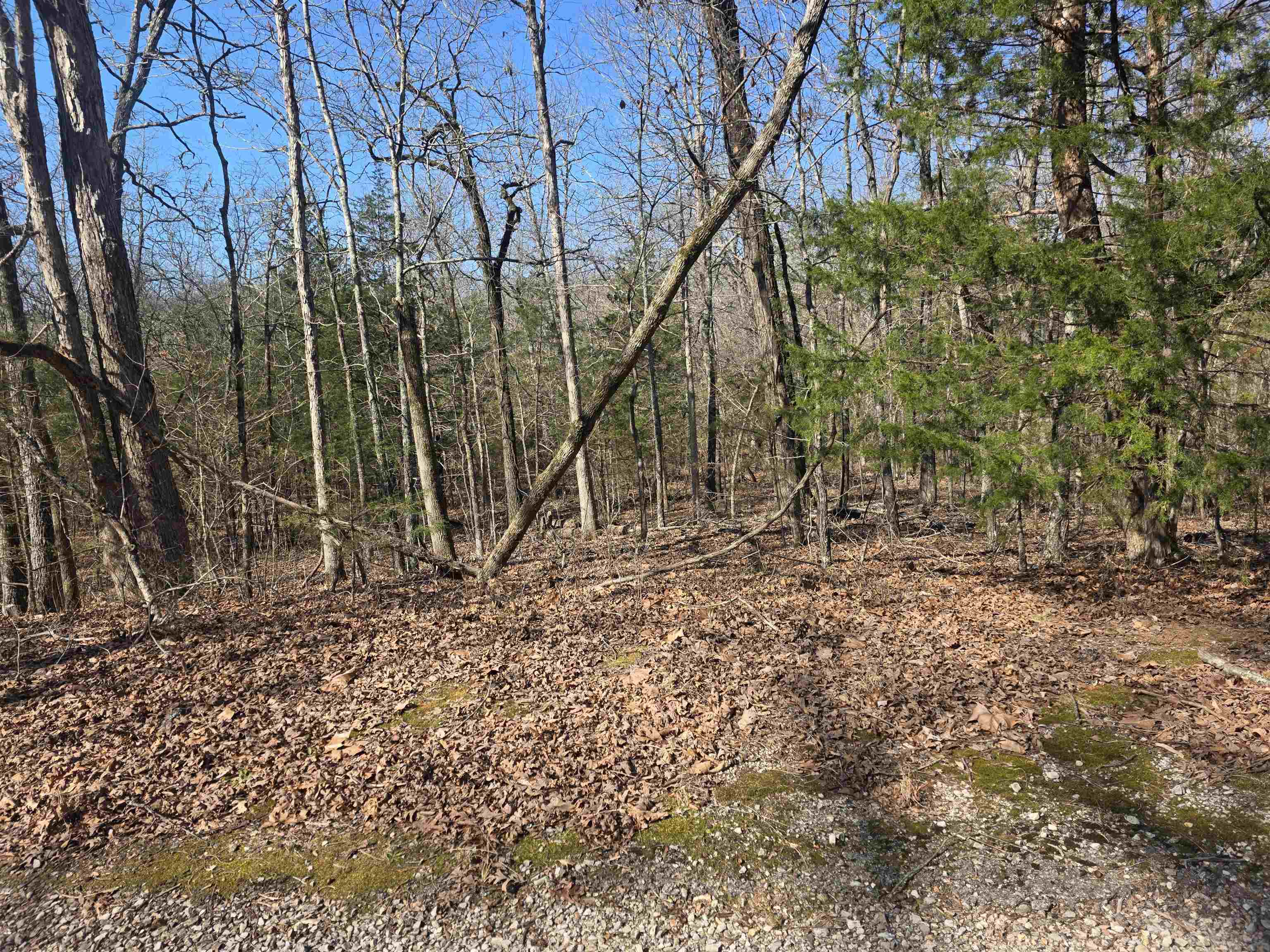 Photo 8 - Vacant Land for sale – L44 B9  Pahokee   Cherokee Village, AR