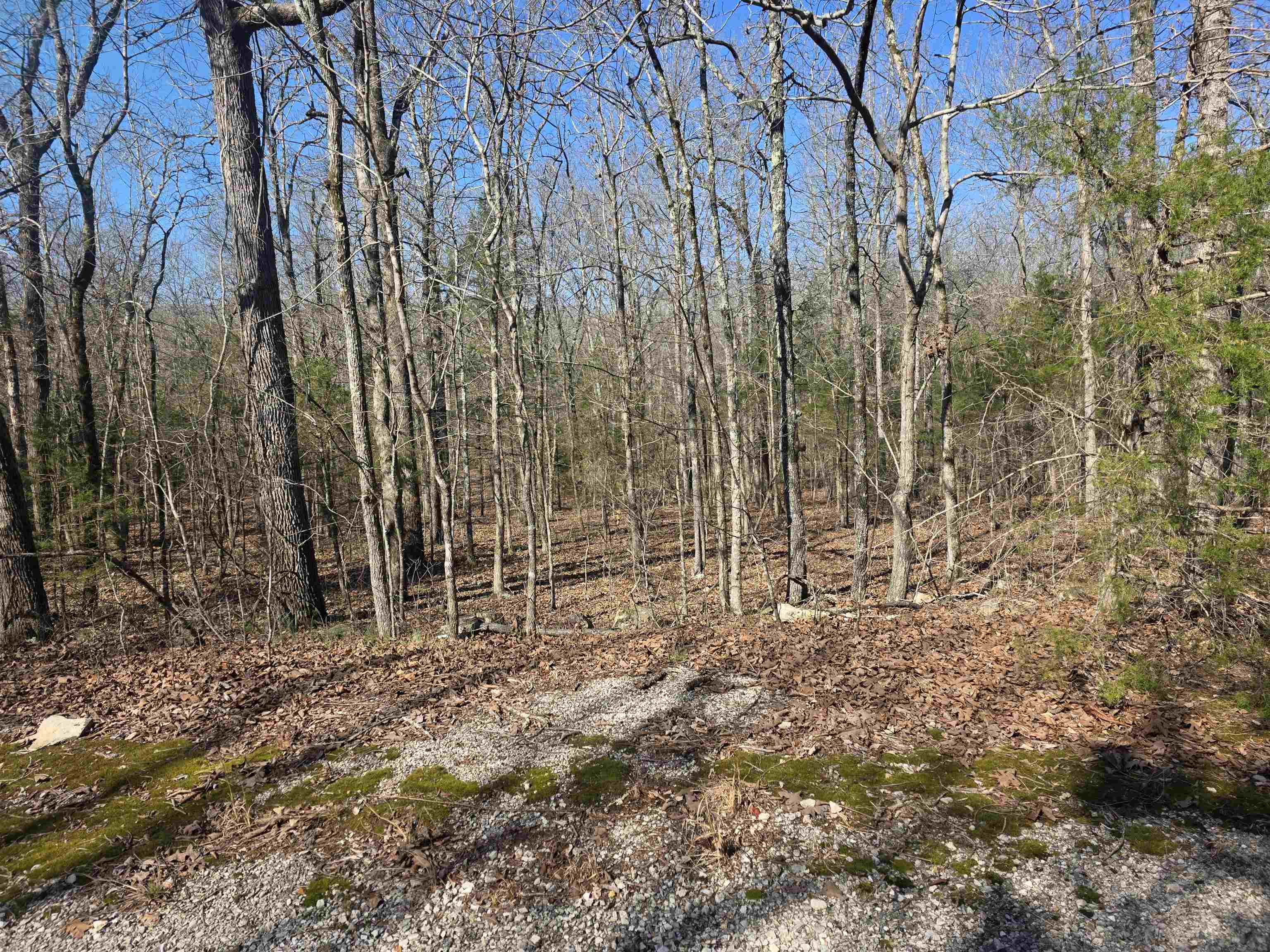 Photo 2 - Vacant Land for sale – L43 B9  Pahokee   Cherokee Village, AR