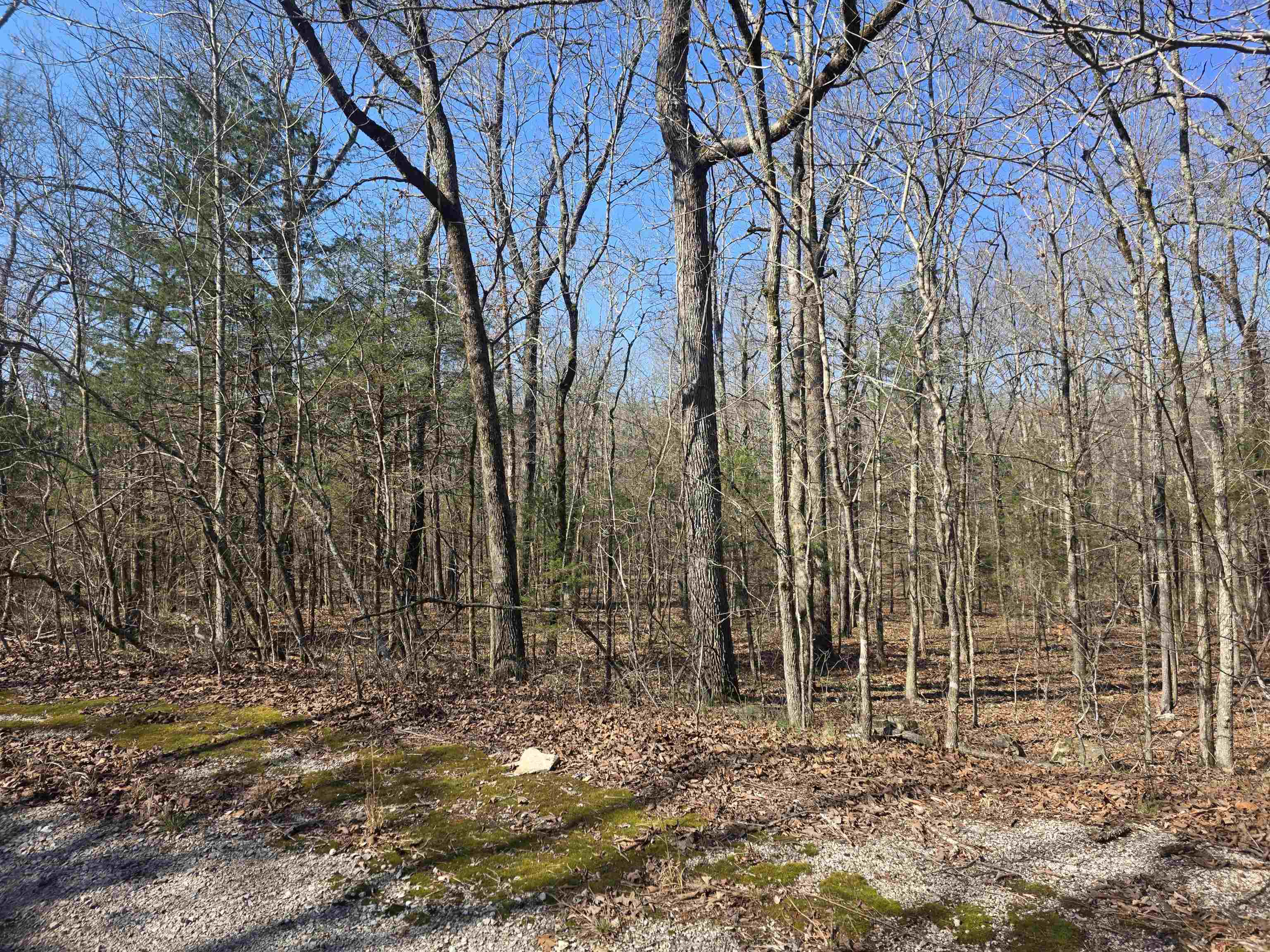 Photo 4 - Vacant Land for sale – L43 B9  Pahokee   Cherokee Village, AR