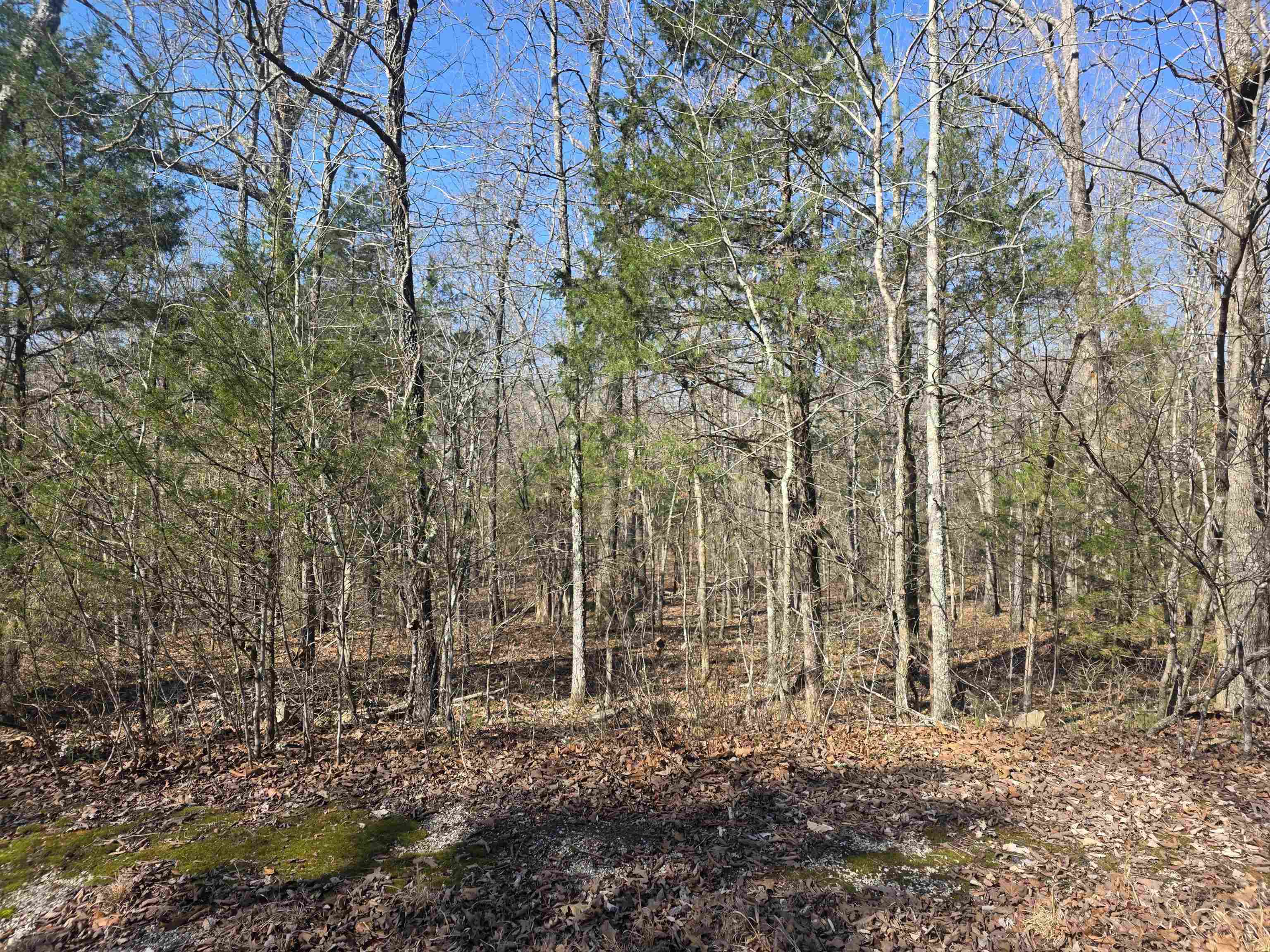 Photo 6 - Vacant Land for sale – L43 B9  Pahokee   Cherokee Village, AR