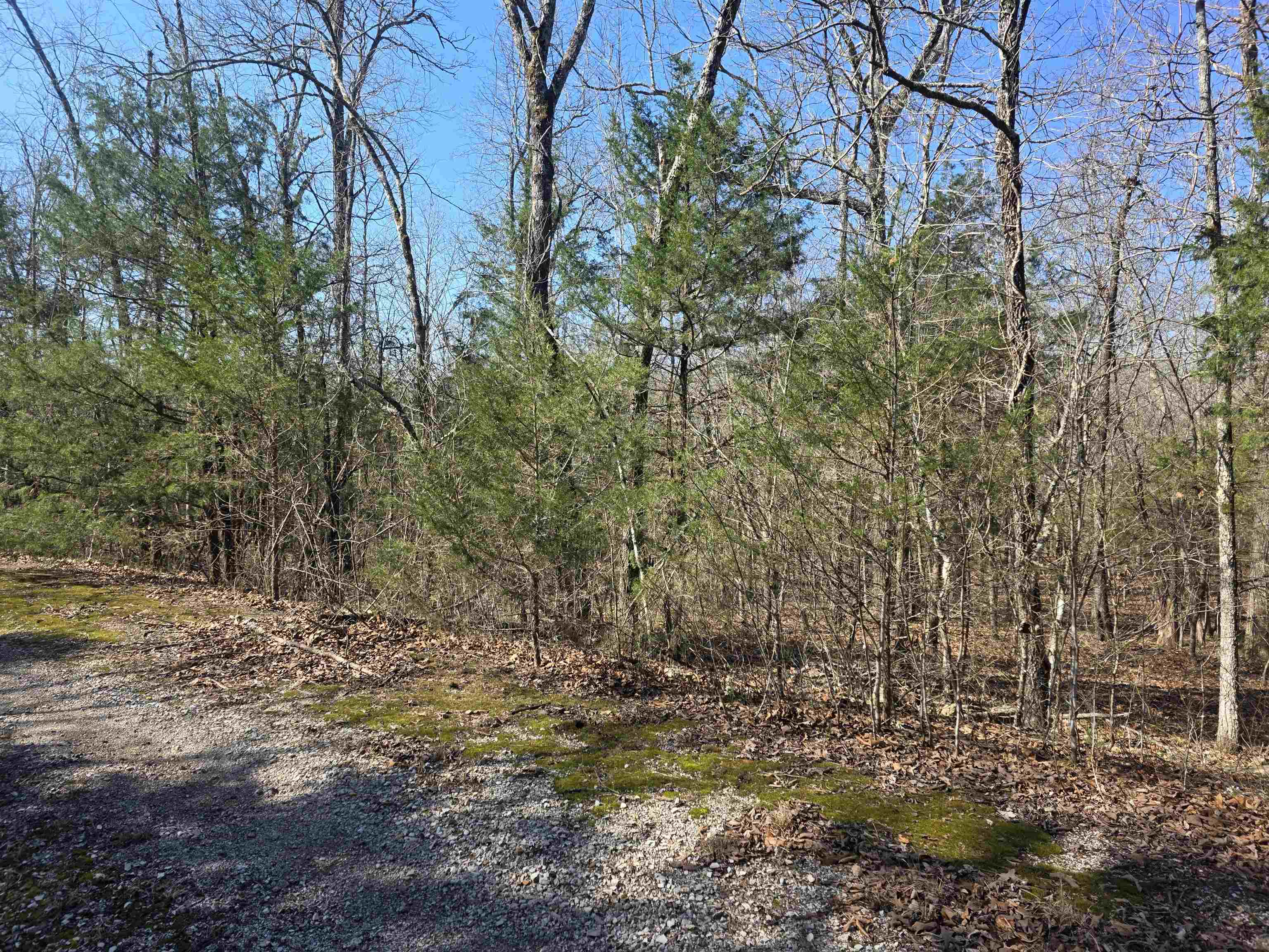 Photo 7 - Vacant Land for sale – L43 B9  Pahokee   Cherokee Village, AR