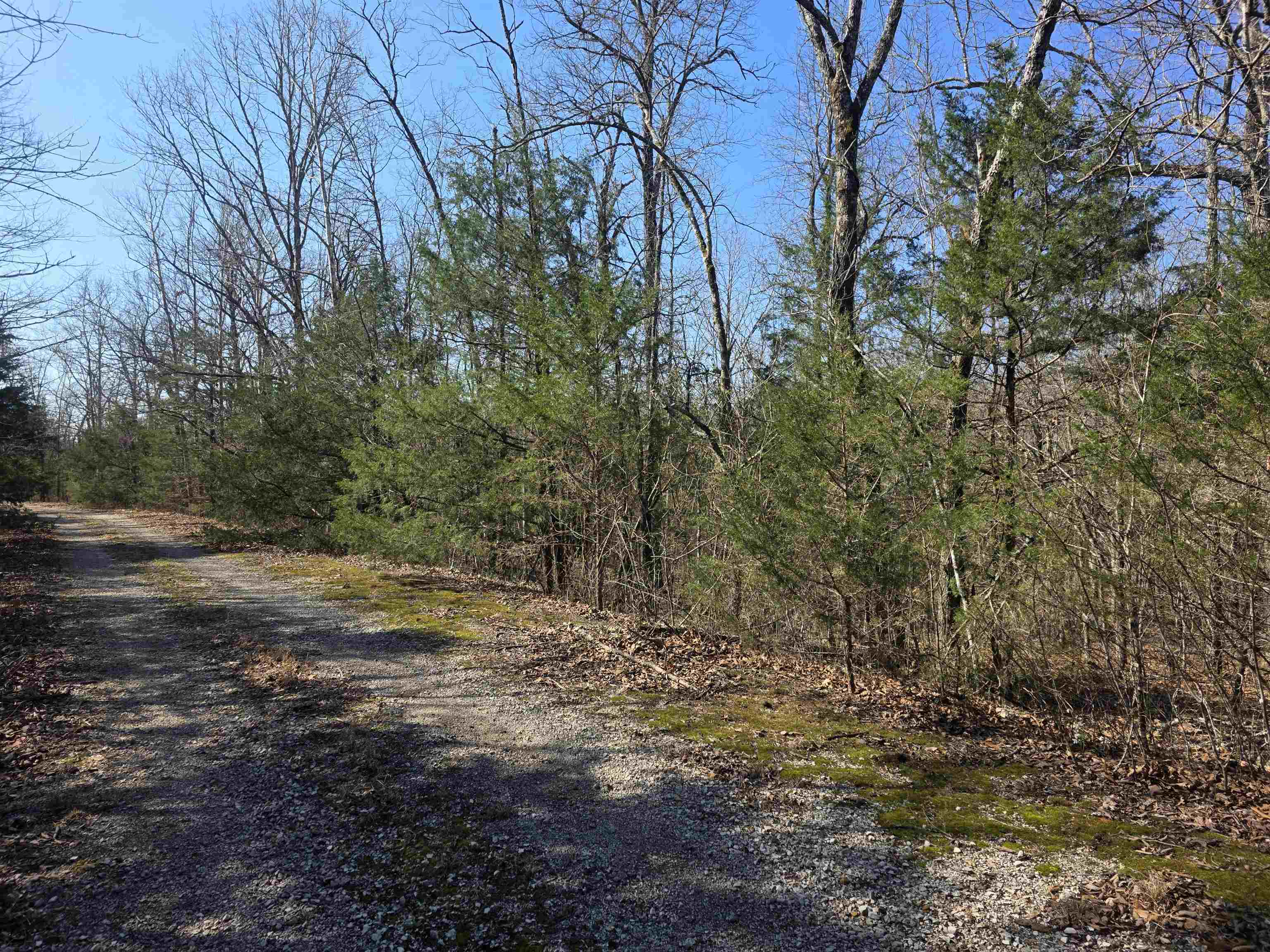 Photo 8 - Vacant Land for sale – L43 B9  Pahokee   Cherokee Village, AR