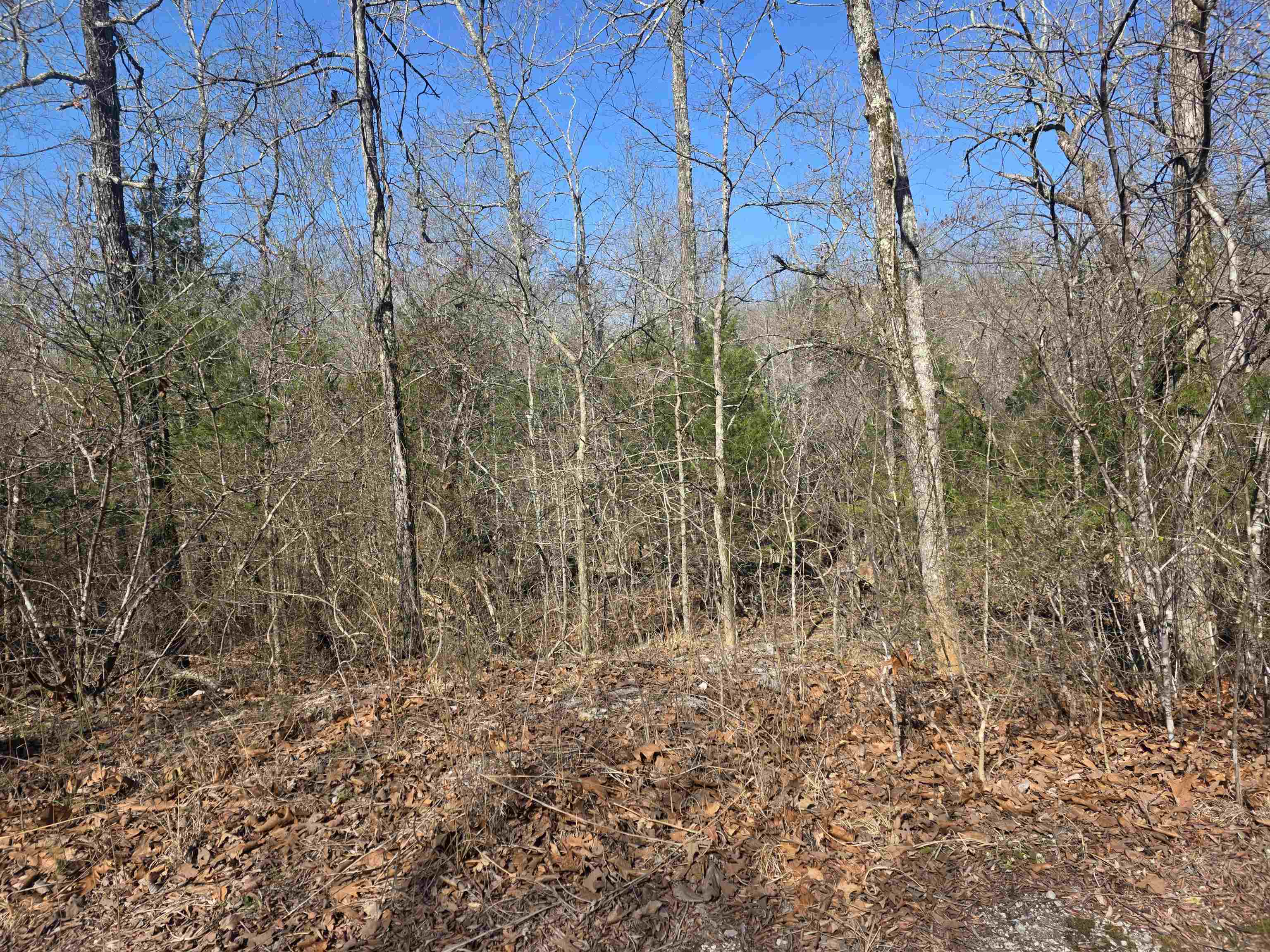 Vacant Land for sale – L42 B9  Pahokee   Cherokee Village, AR