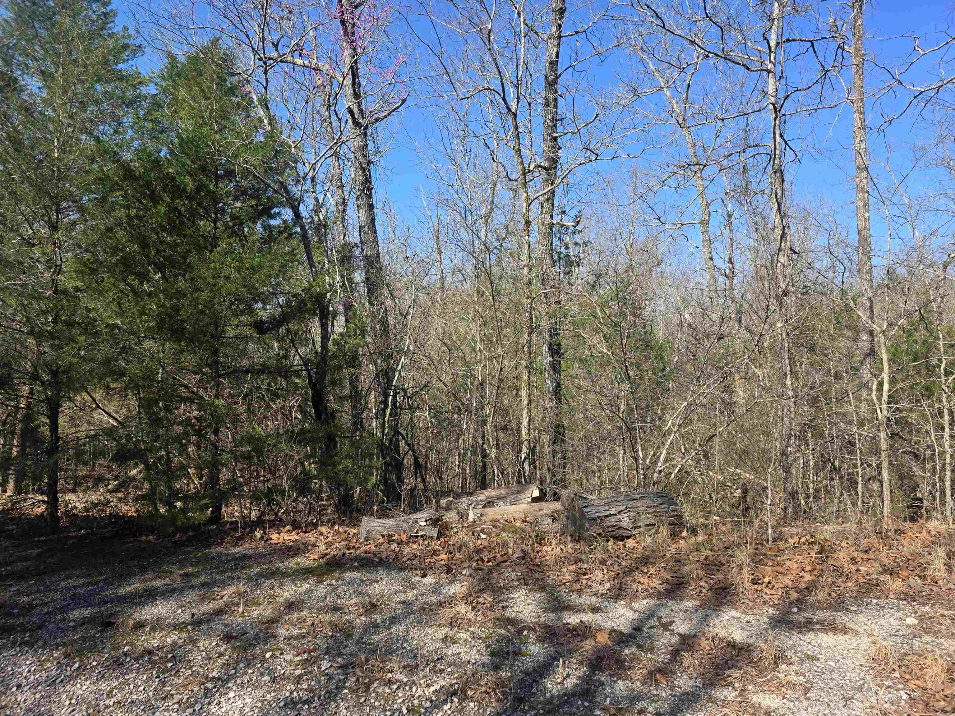 Photo 2 - Vacant Land for sale – L42 B9  Pahokee   Cherokee Village, AR