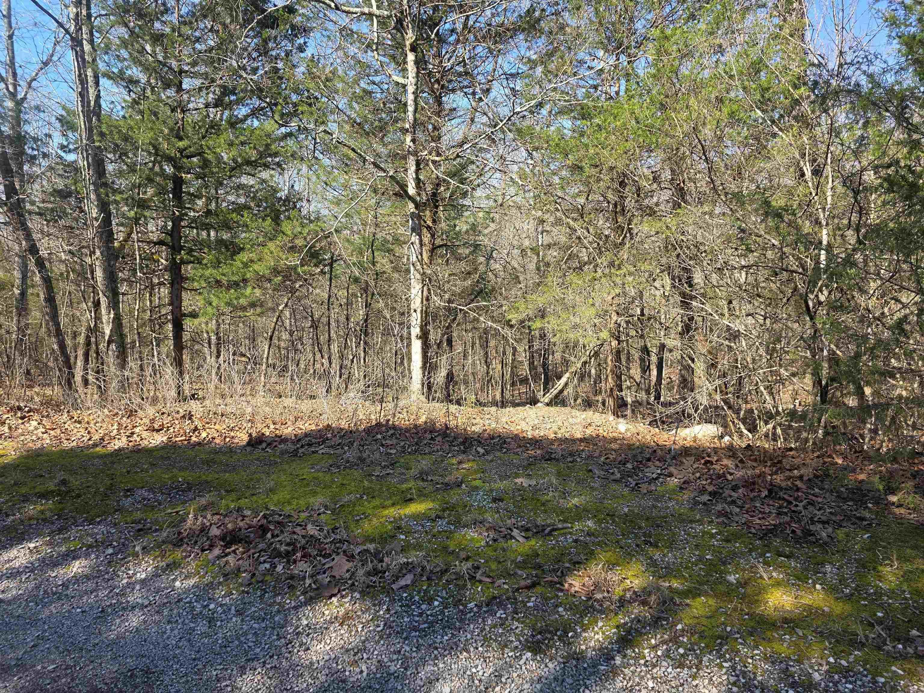 Photo 3 - Vacant Land for sale – L42 B9  Pahokee   Cherokee Village, AR