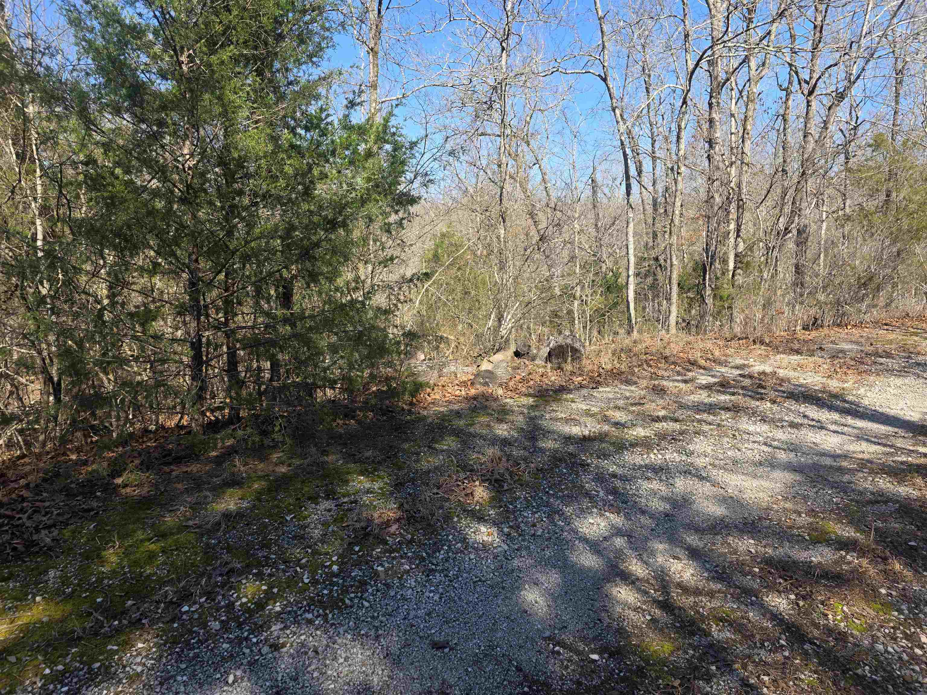 Photo 4 - Vacant Land for sale – L42 B9  Pahokee   Cherokee Village, AR