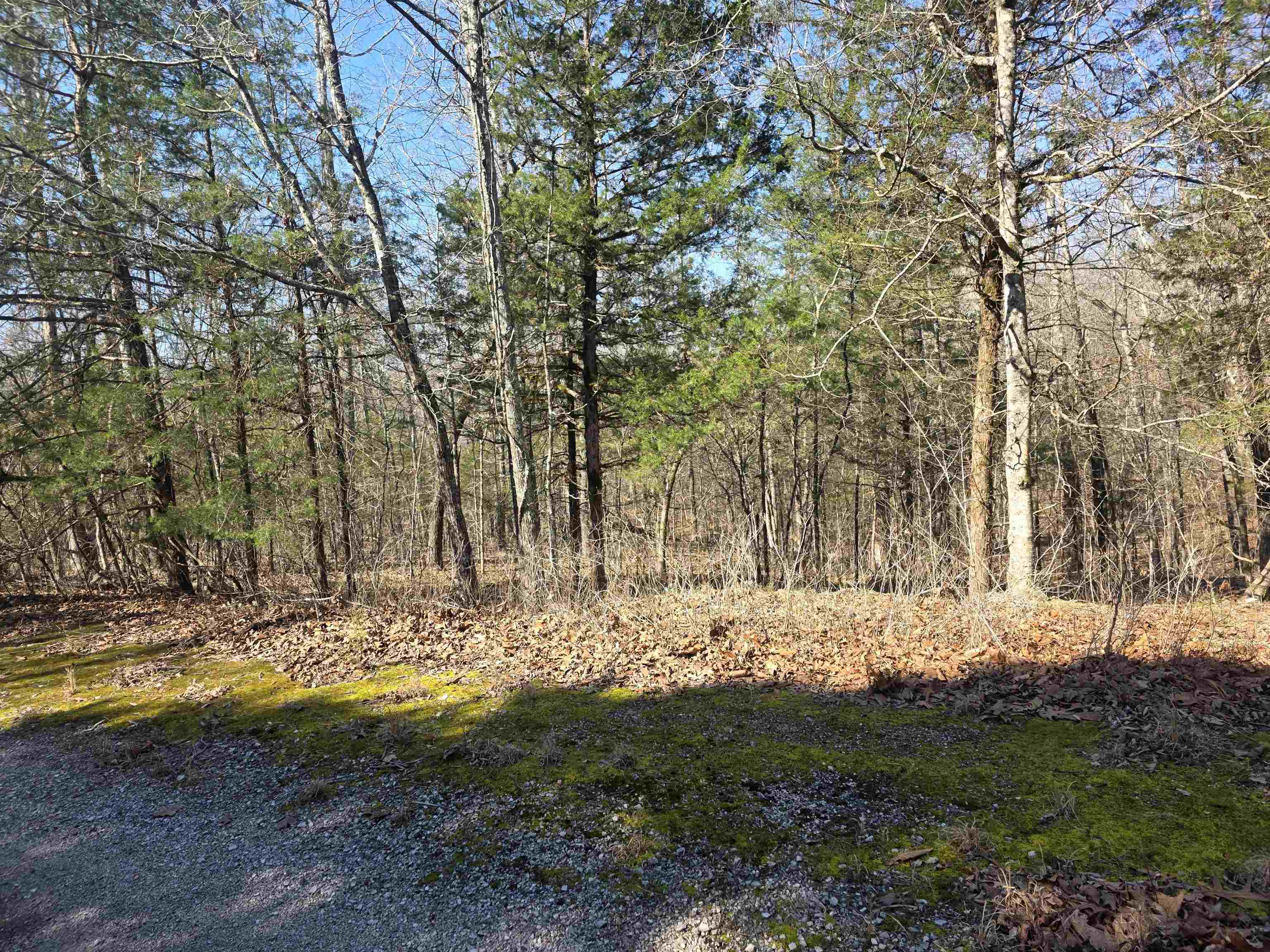 Photo 5 - Vacant Land for sale – L42 B9  Pahokee   Cherokee Village, AR