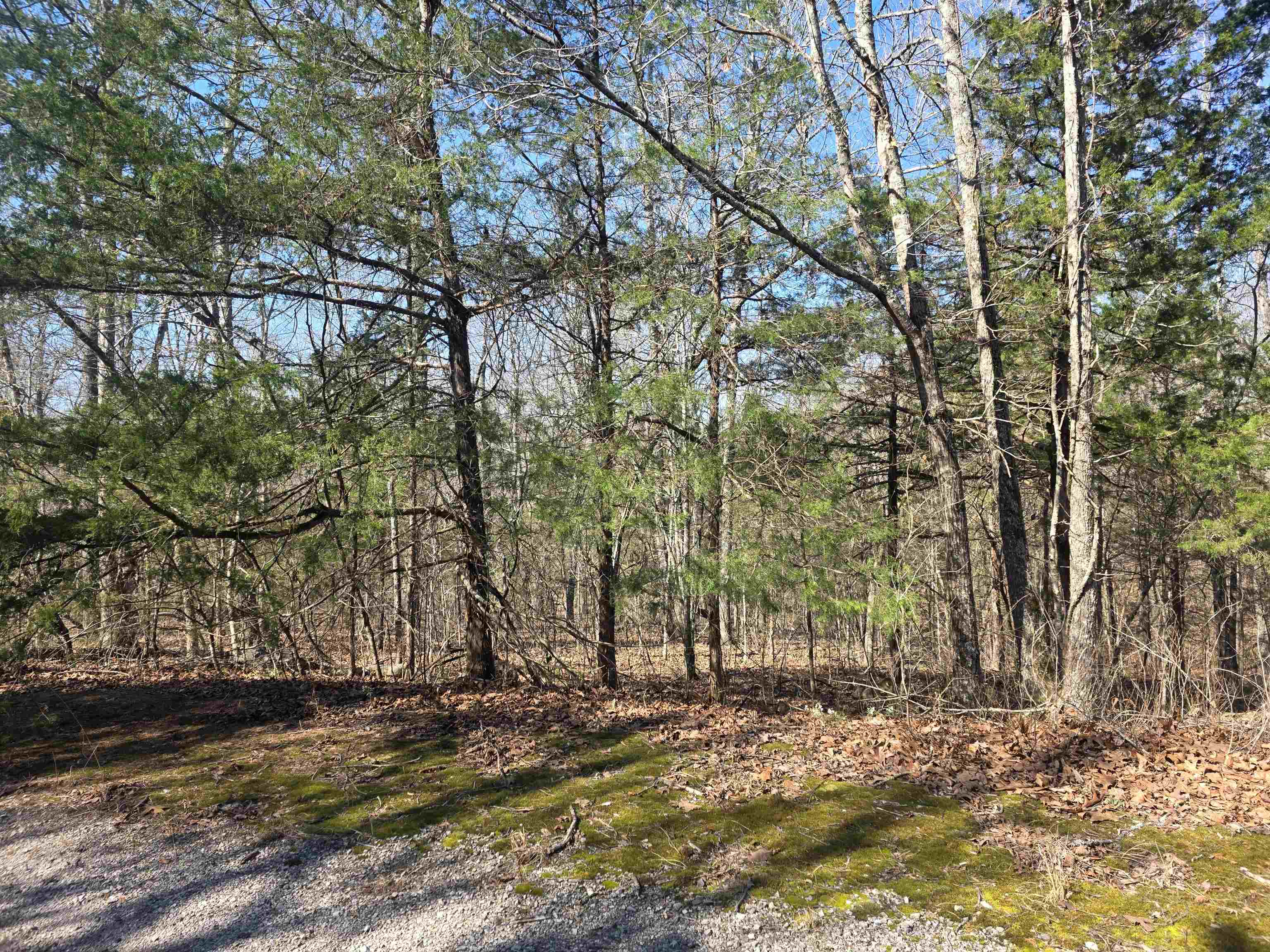 Photo 6 - Vacant Land for sale – L42 B9  Pahokee   Cherokee Village, AR