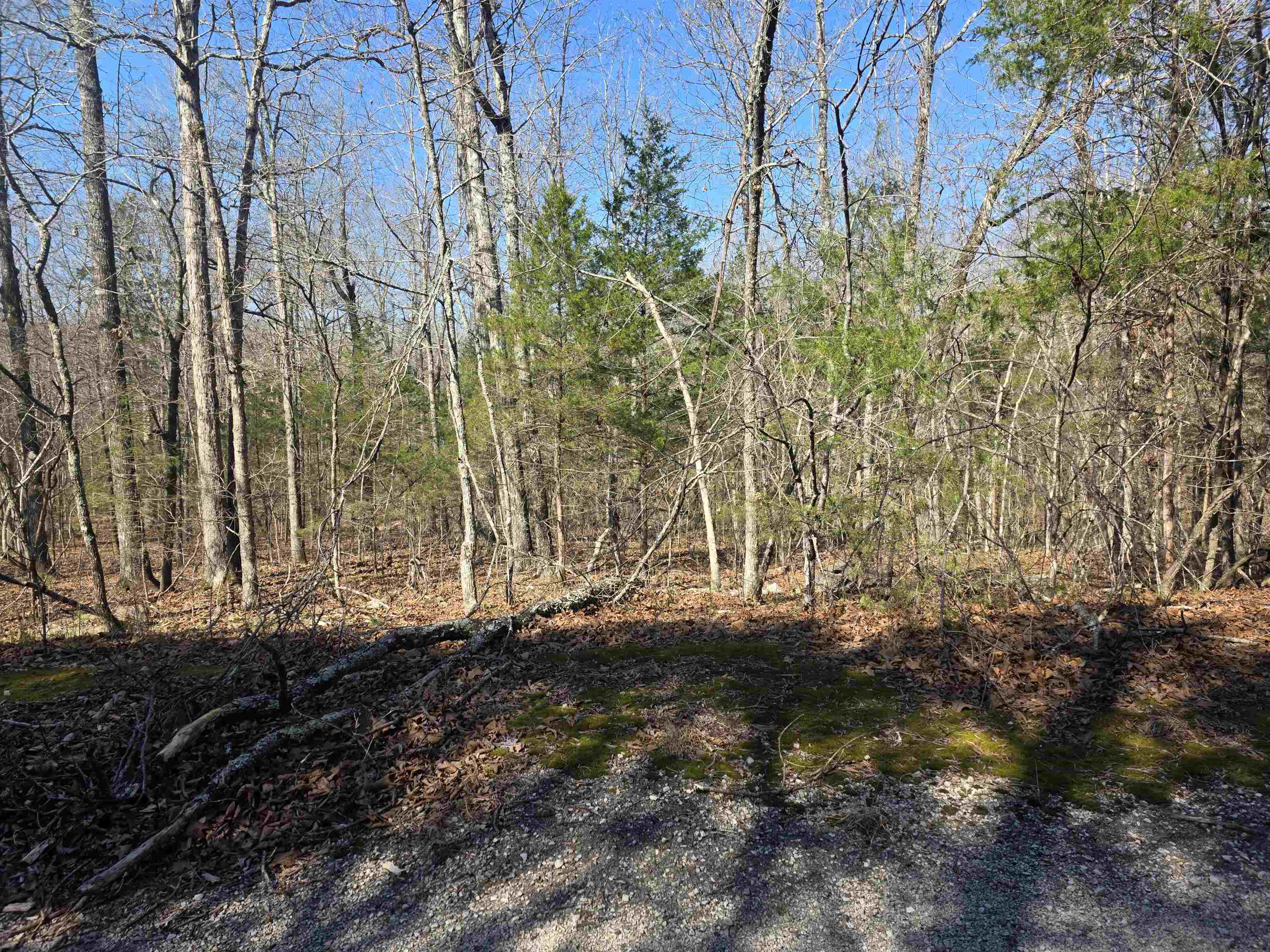 Photo 7 - Vacant Land for sale – L42 B9  Pahokee   Cherokee Village, AR