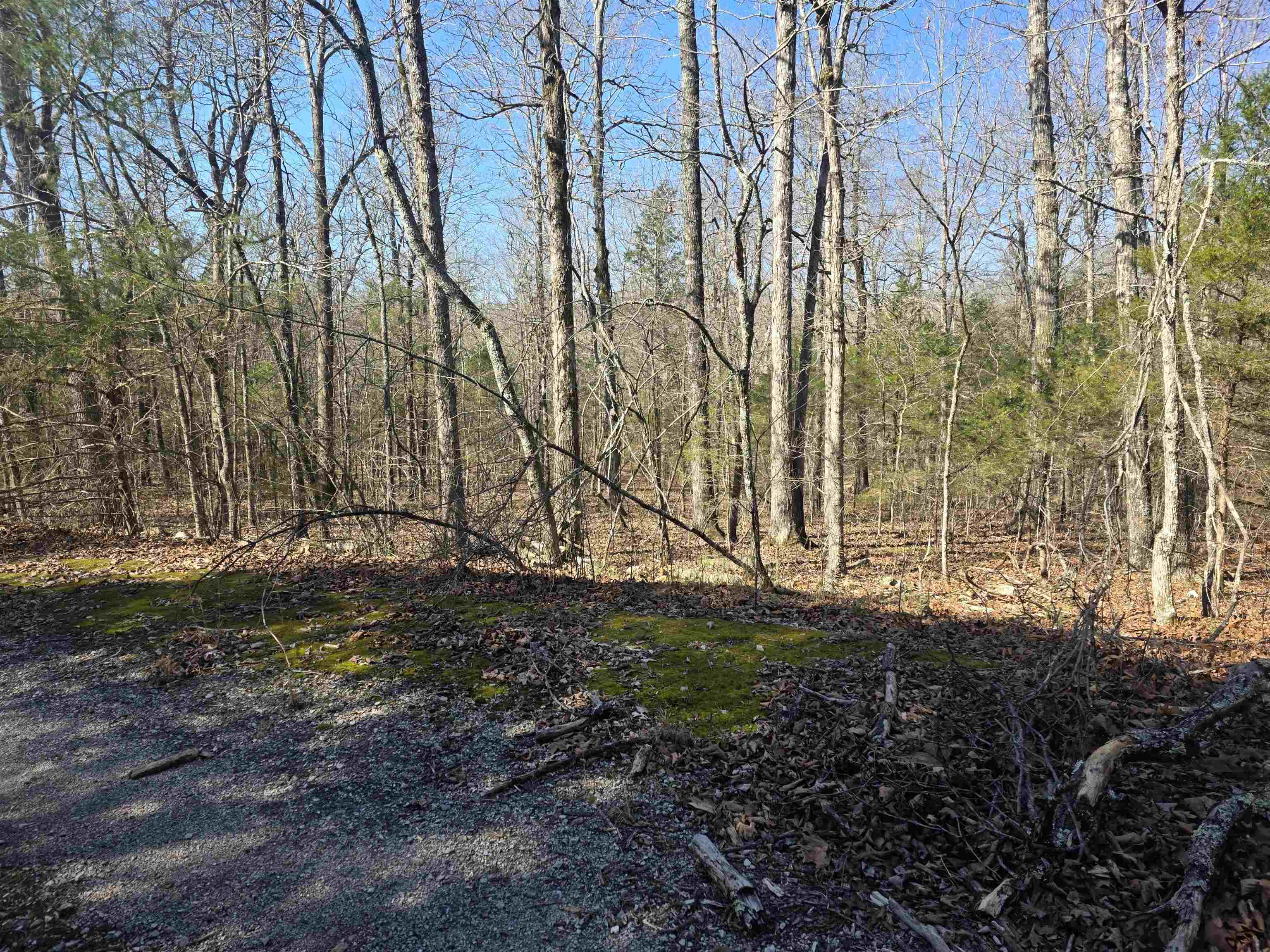 Photo 8 - Vacant Land for sale – L42 B9  Pahokee   Cherokee Village, AR