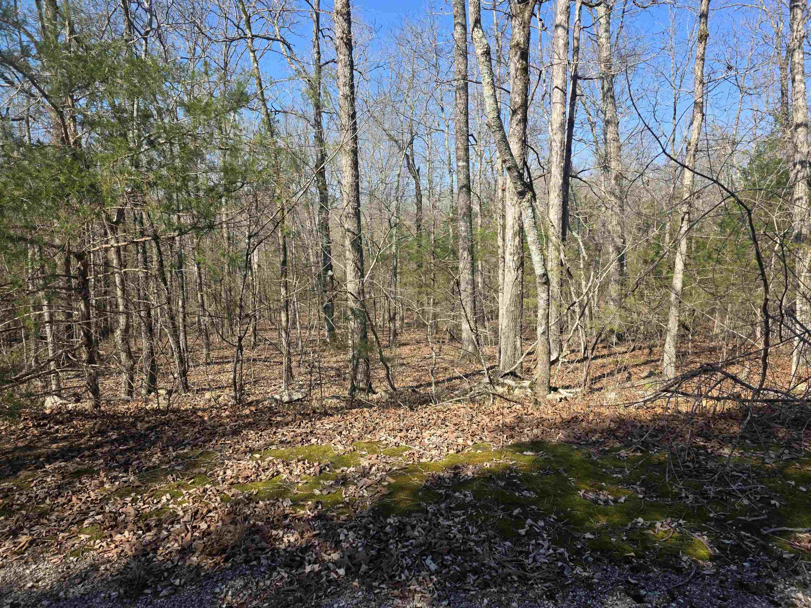 Photo 9 - Vacant Land for sale – L42 B9  Pahokee   Cherokee Village, AR