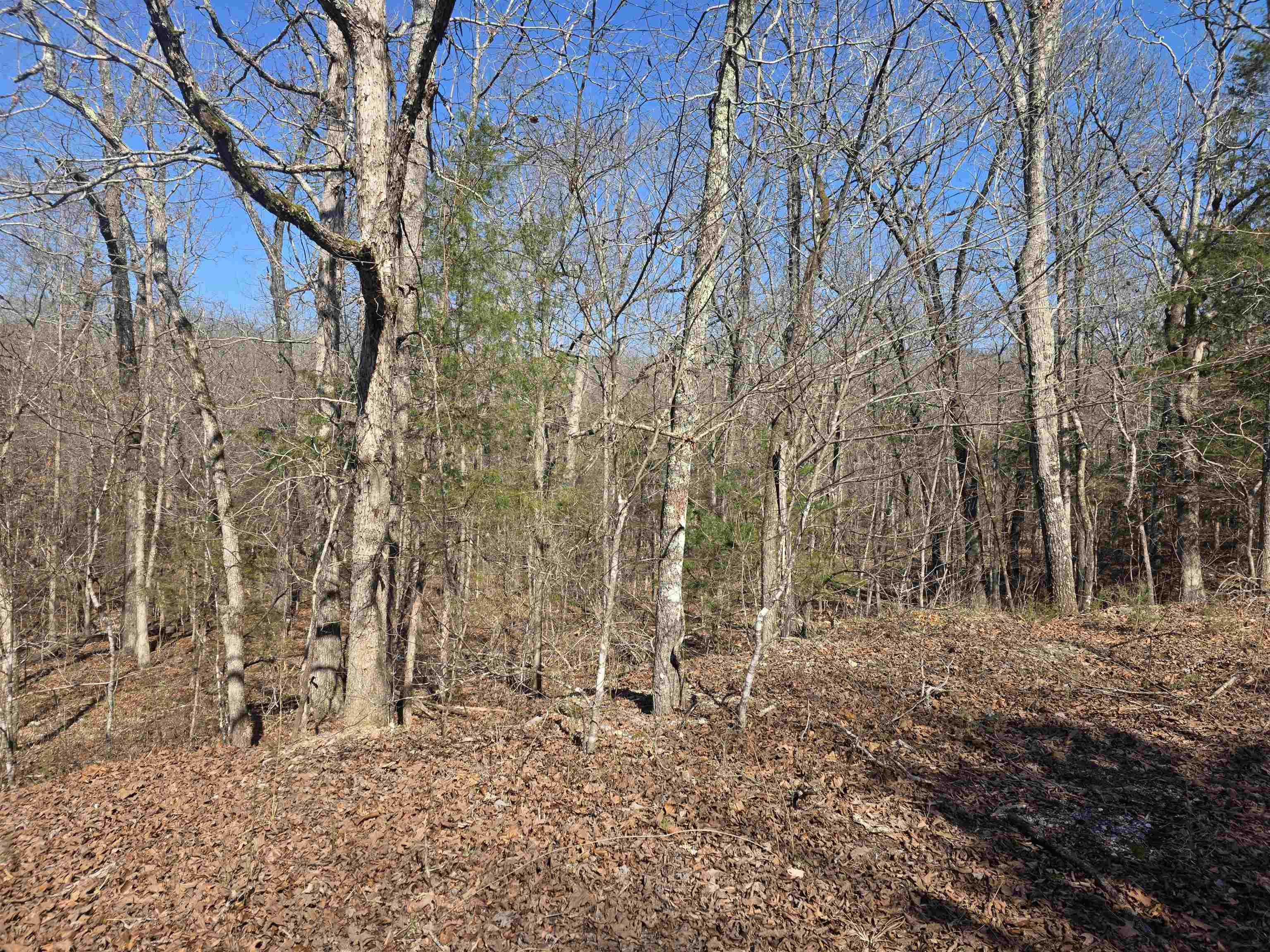 Vacant Land for sale – L41 B9  Pahokee   Cherokee Village, AR