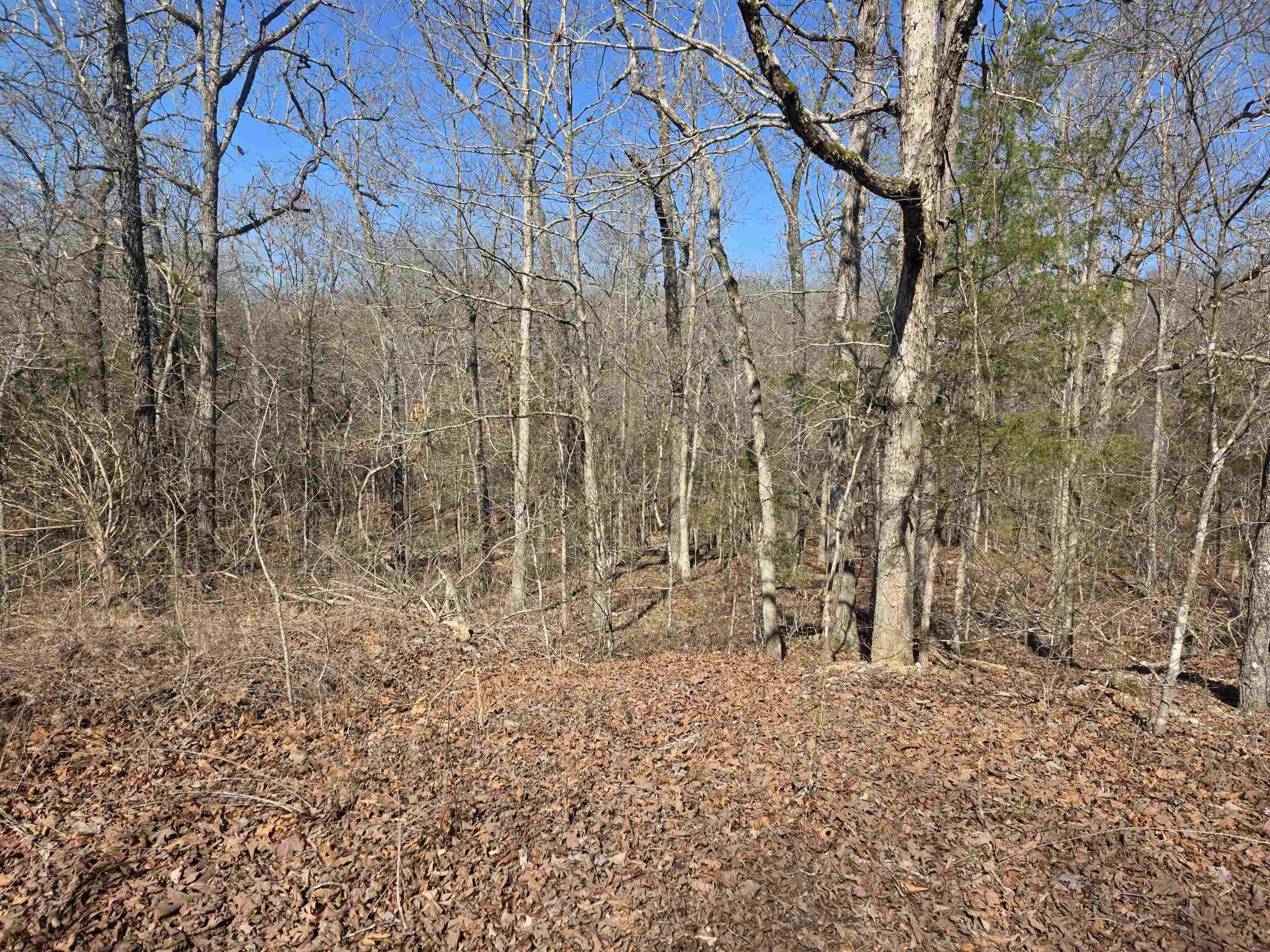 Photo 2 - Vacant Land for sale – L41 B9  Pahokee   Cherokee Village, AR