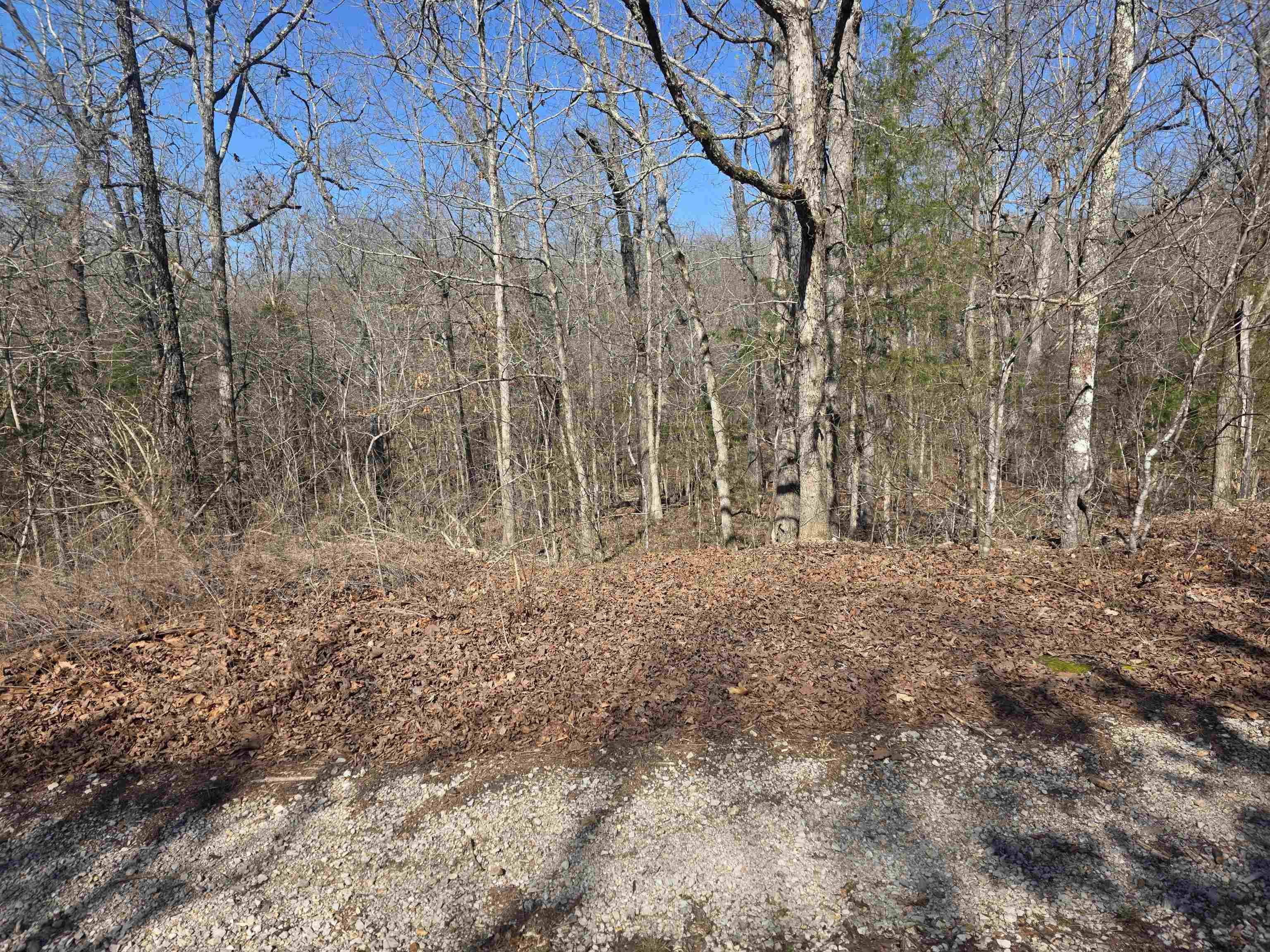 Photo 3 - Vacant Land for sale – L41 B9  Pahokee   Cherokee Village, AR