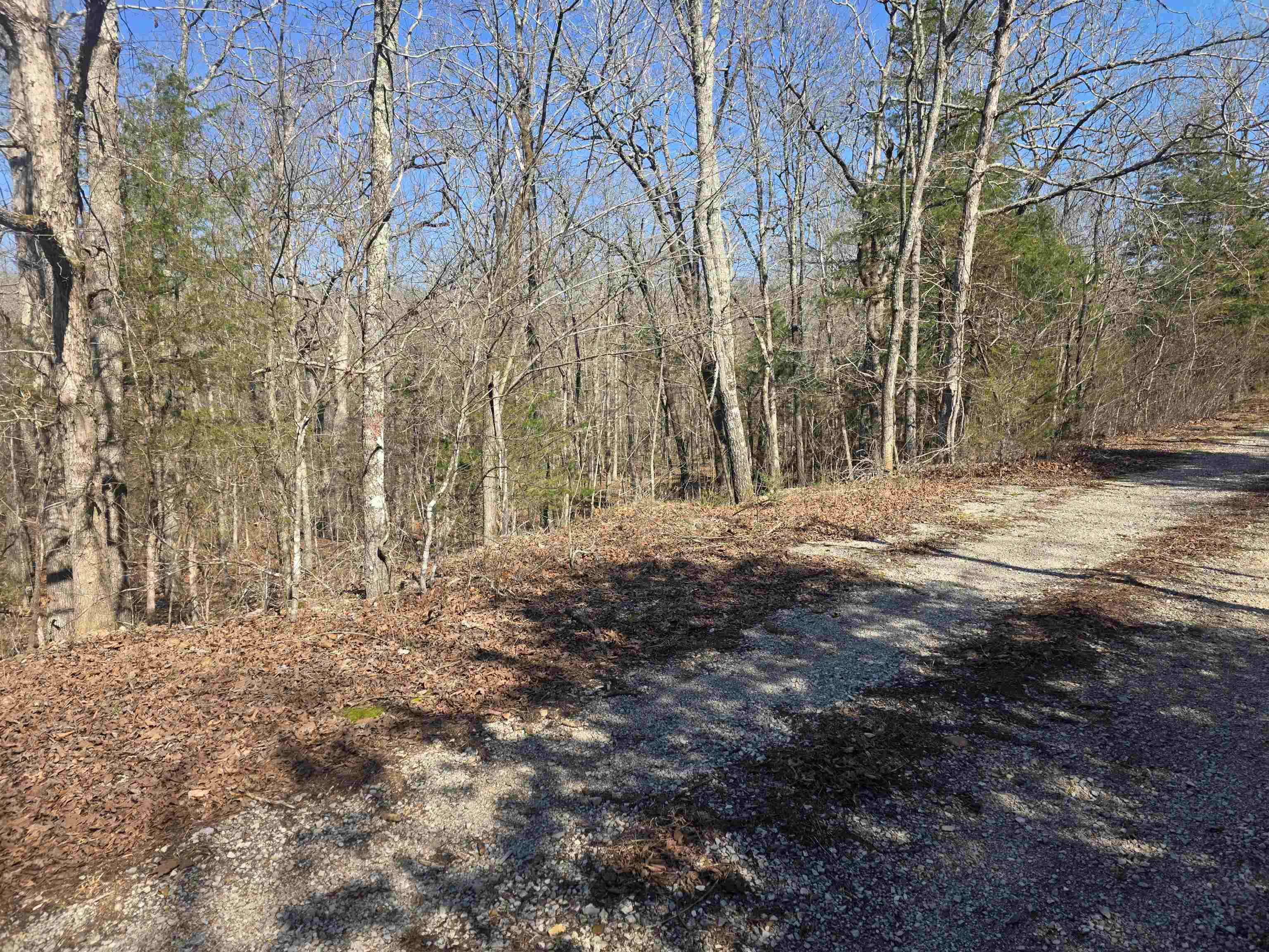 Photo 4 - Vacant Land for sale – L41 B9  Pahokee   Cherokee Village, AR