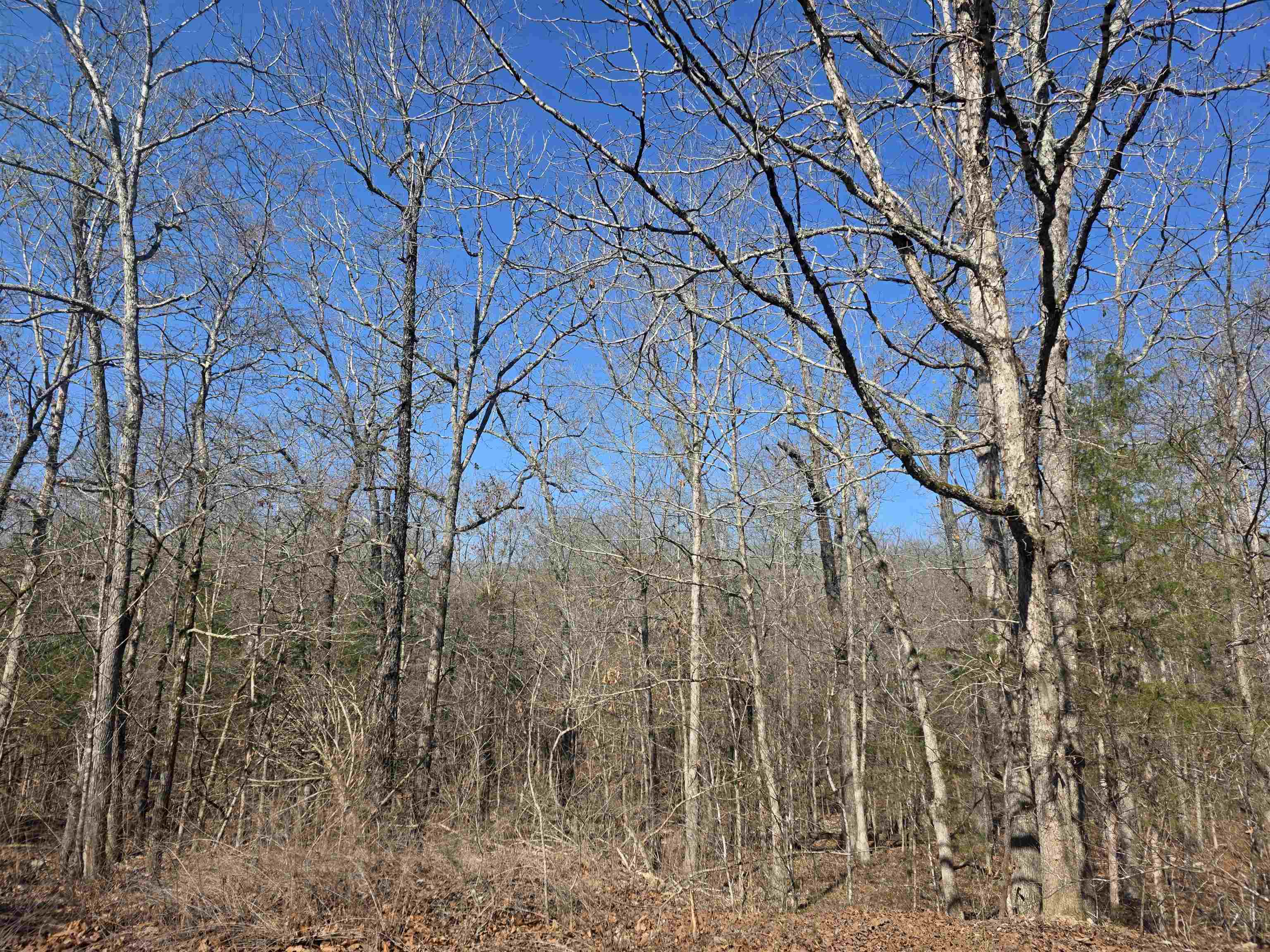 Photo 5 - Vacant Land for sale – L41 B9  Pahokee   Cherokee Village, AR