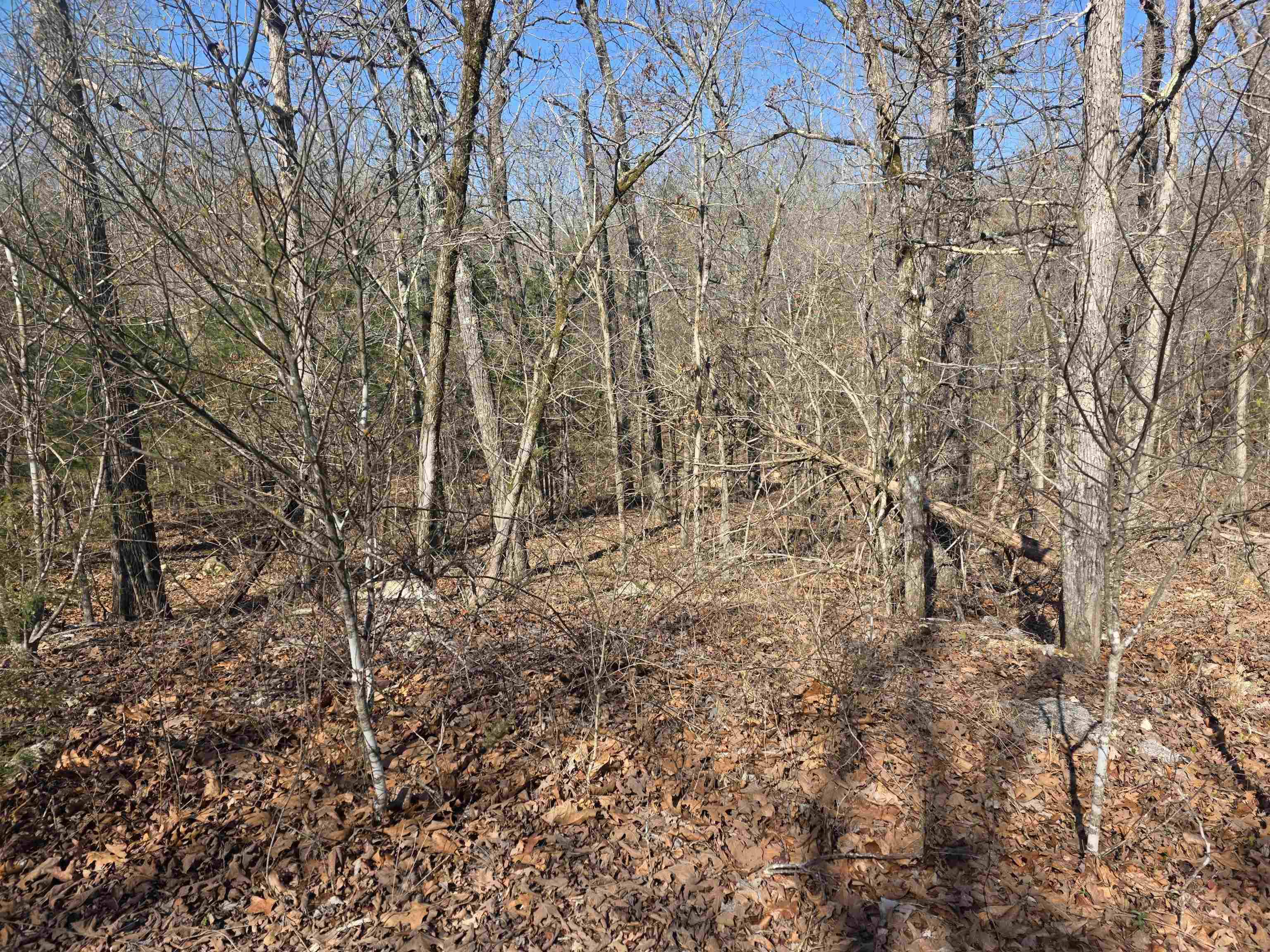 Photo 6 - Vacant Land for sale – L41 B9  Pahokee   Cherokee Village, AR