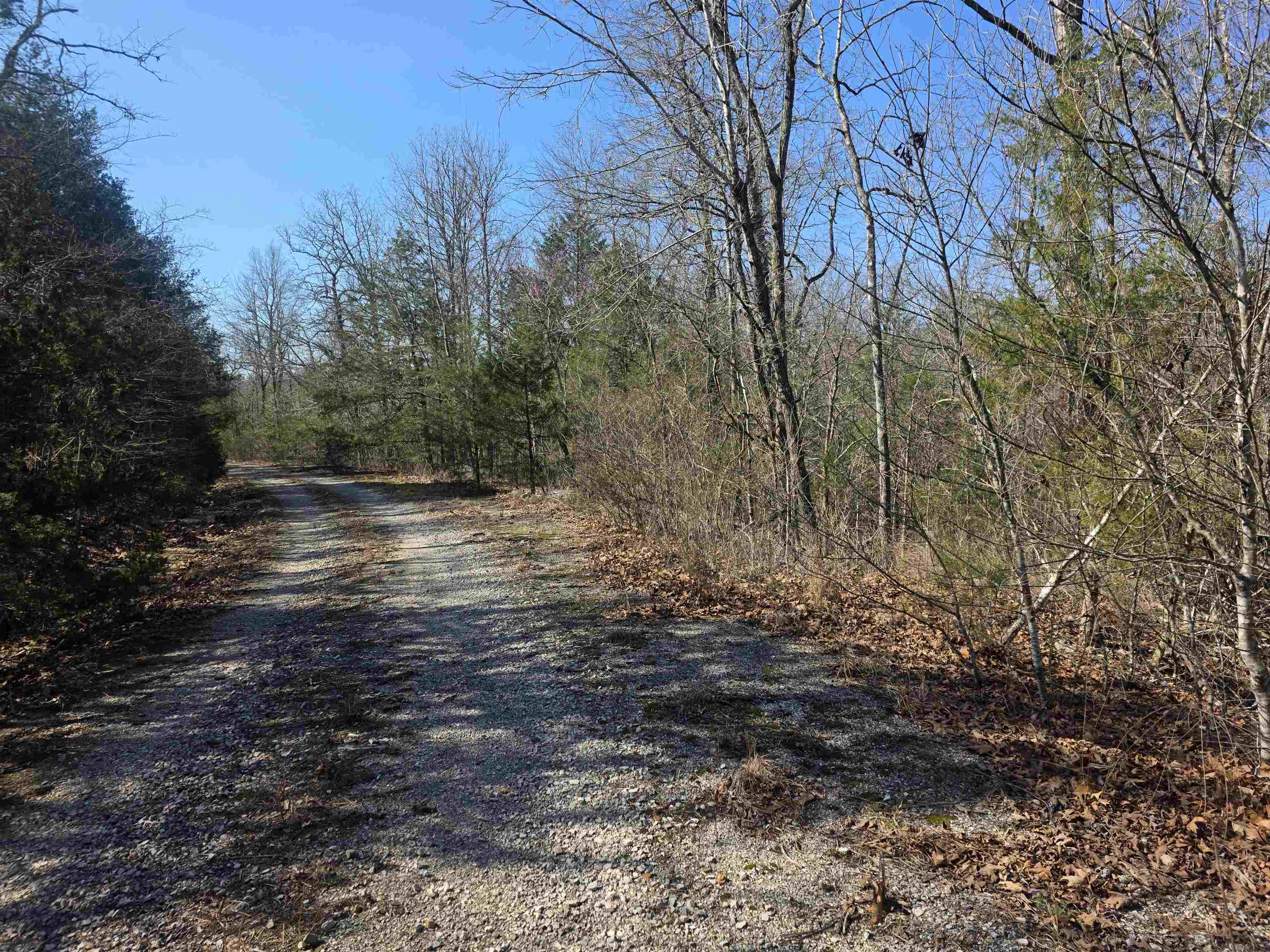 Photo 7 - Vacant Land for sale – L41 B9  Pahokee   Cherokee Village, AR