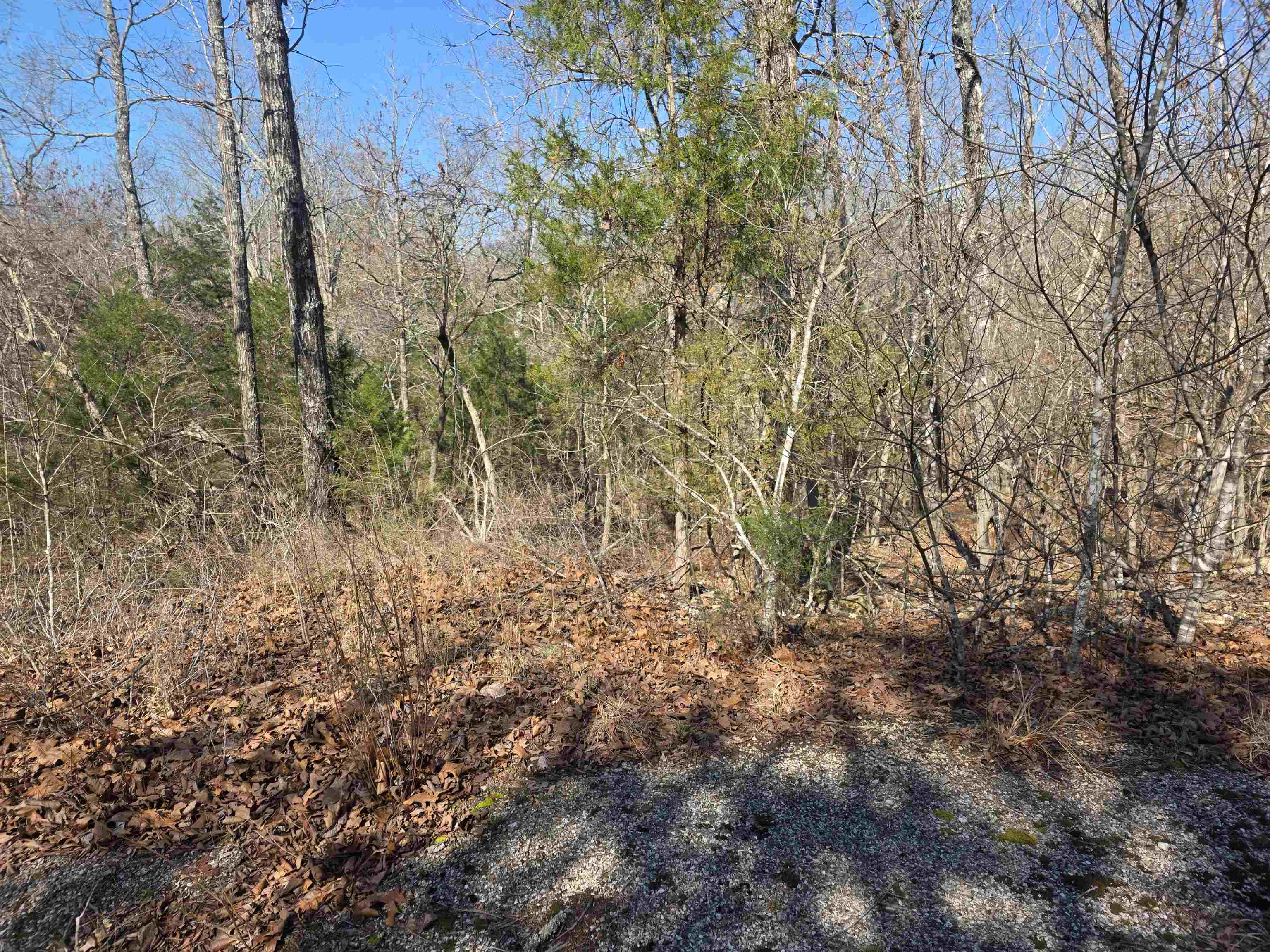 Photo 8 - Vacant Land for sale – L41 B9  Pahokee   Cherokee Village, AR
