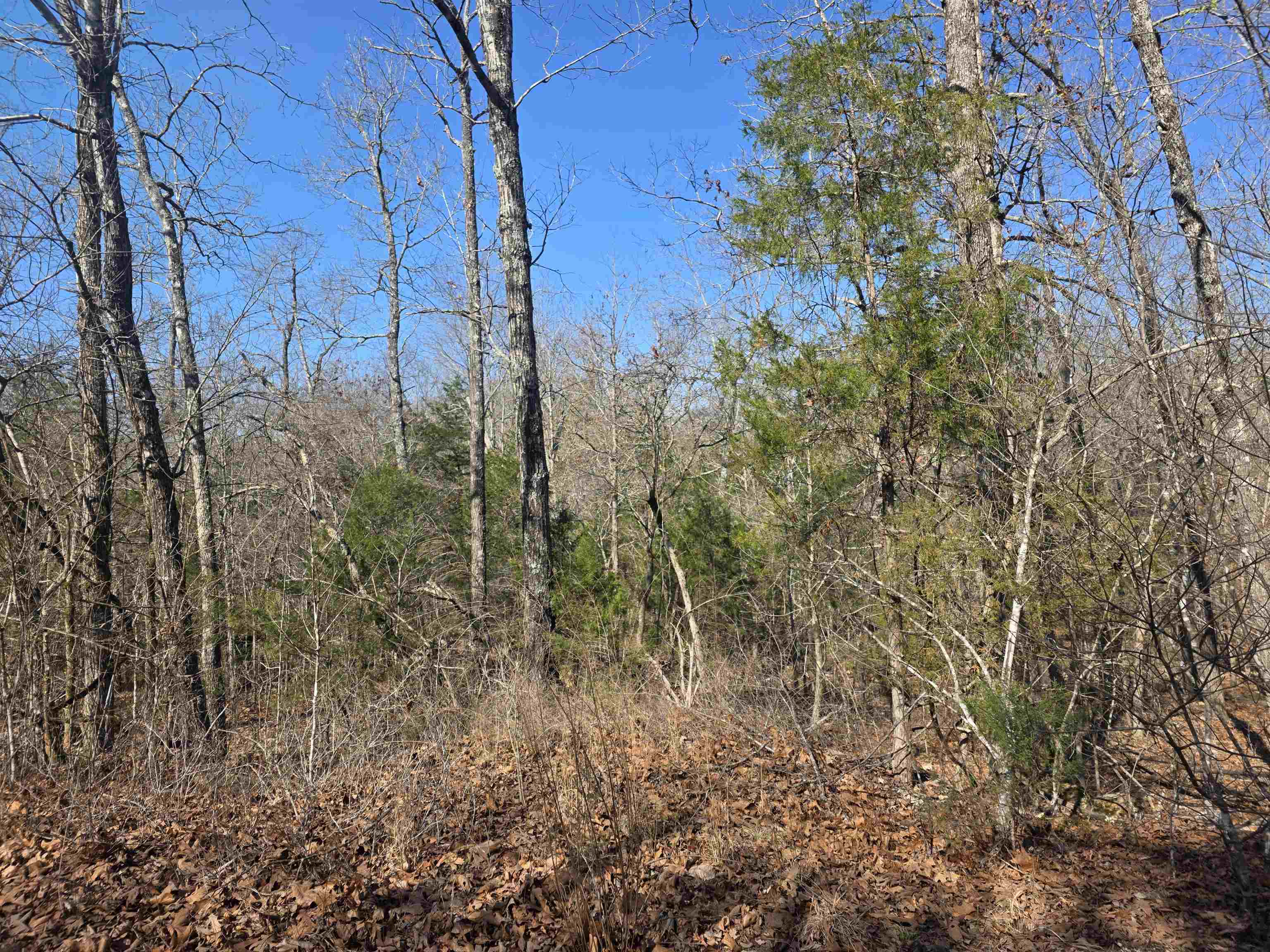 Photo 9 - Vacant Land for sale – L41 B9  Pahokee   Cherokee Village, AR