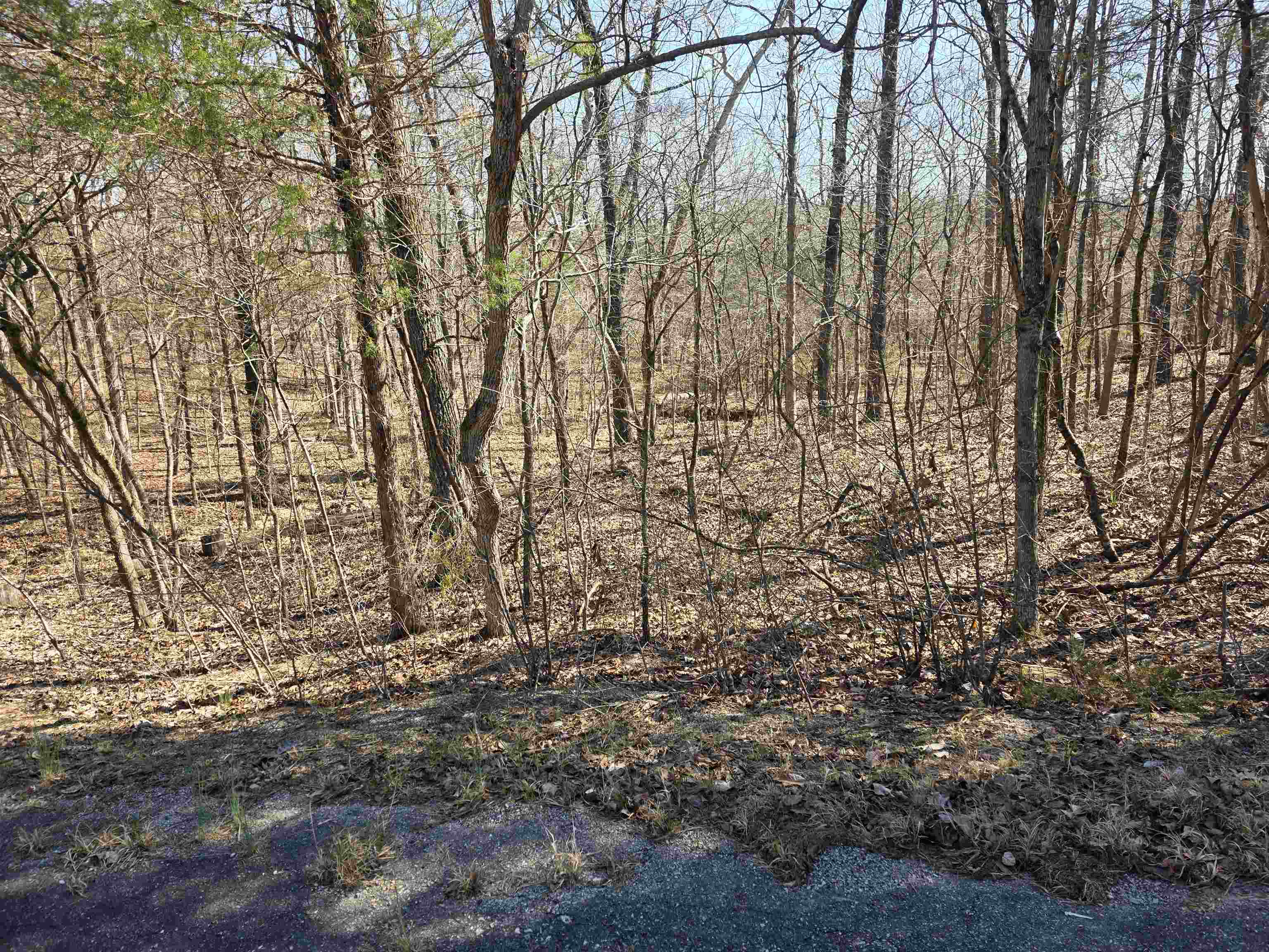 Vacant Land for sale – L16 B8  Lochloosa   Cherokee Village, AR