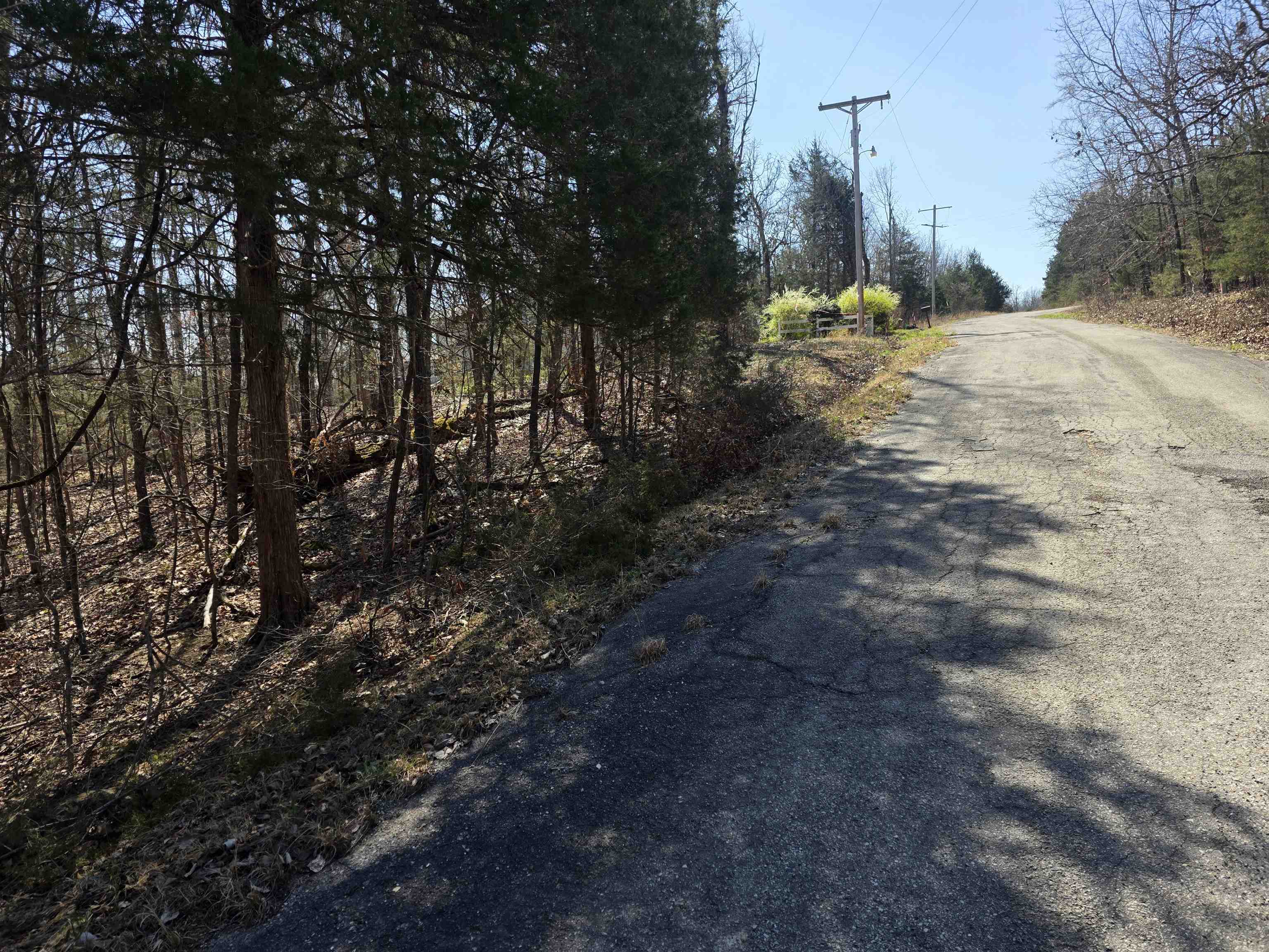 Photo 2 - Vacant Land for sale – L16 B8  Lochloosa   Cherokee Village, AR