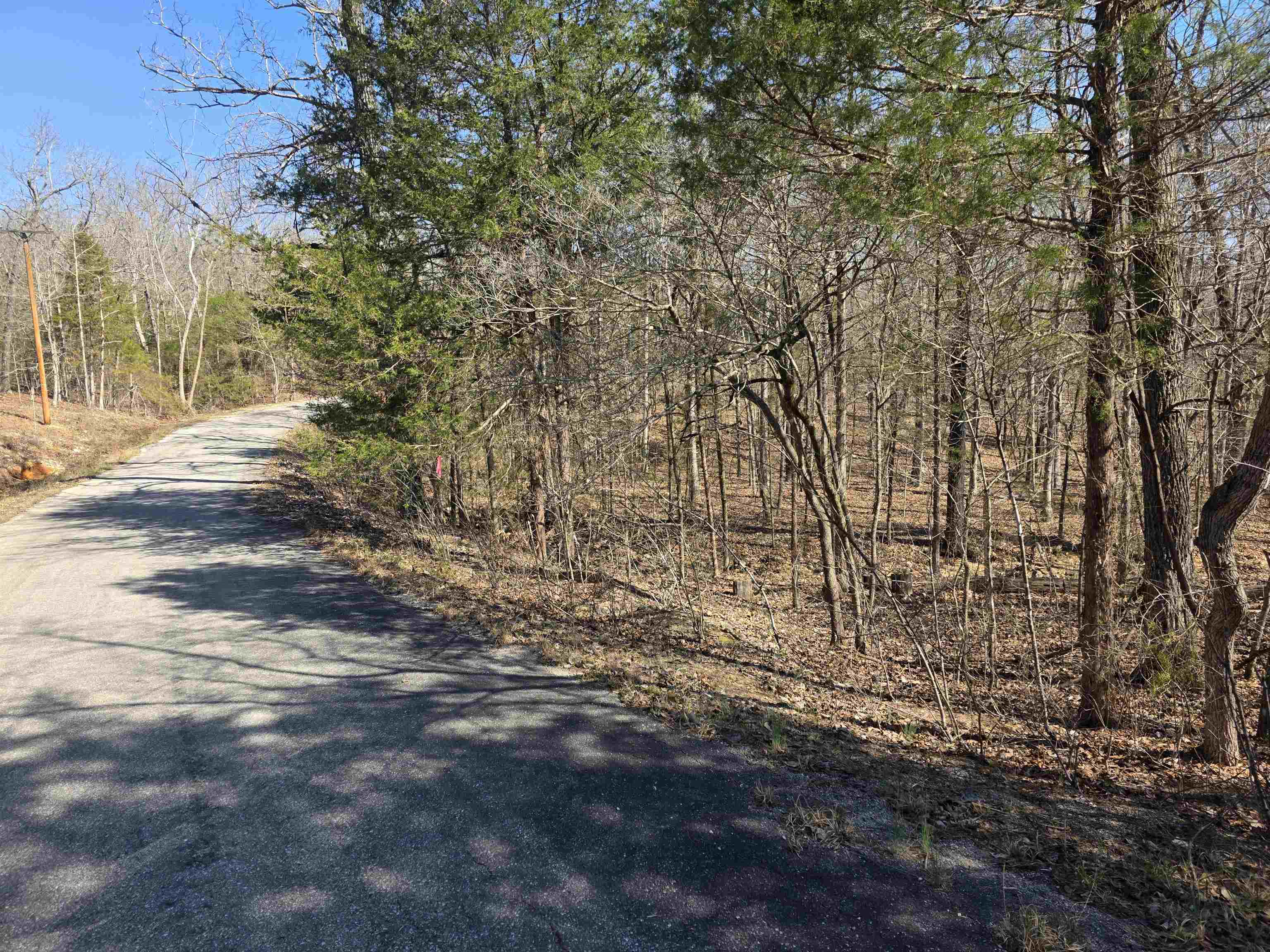 Photo 3 - Vacant Land for sale – L16 B8  Lochloosa   Cherokee Village, AR