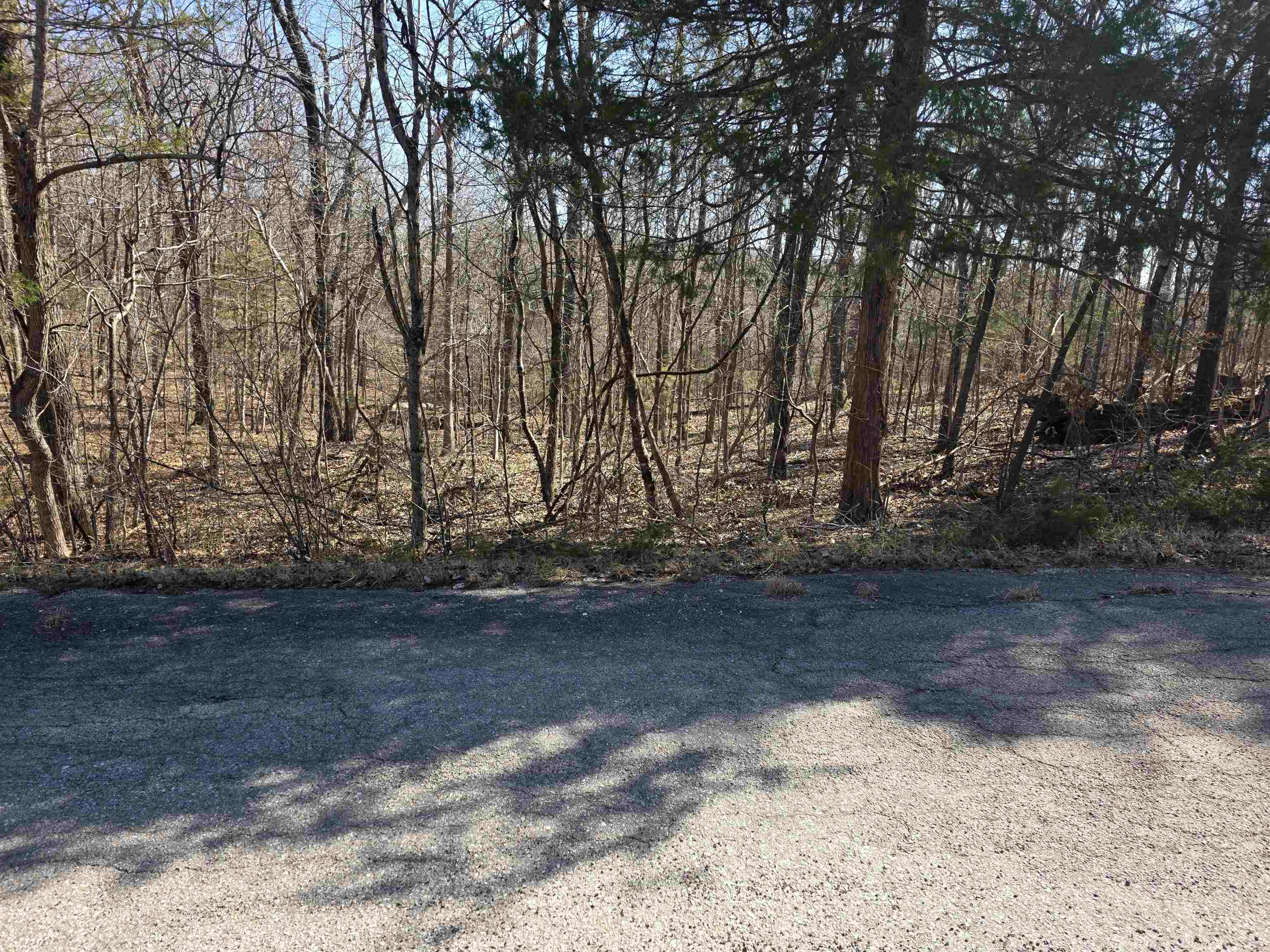 Photo 6 - Vacant Land for sale – L16 B8  Lochloosa   Cherokee Village, AR