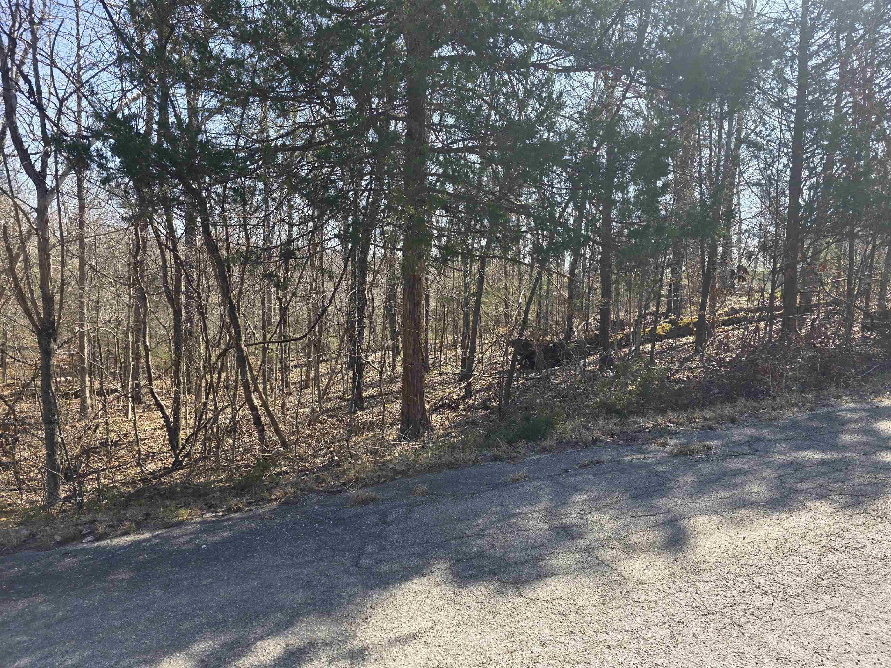 Photo 7 - Vacant Land for sale – L16 B8  Lochloosa   Cherokee Village, AR