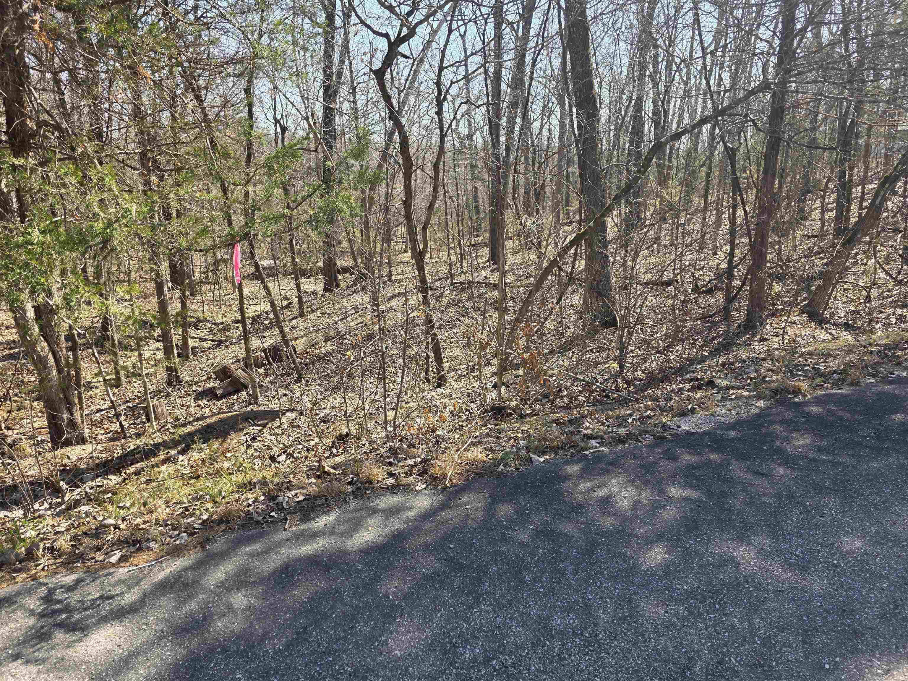 Photo 8 - Vacant Land for sale – L16 B8  Lochloosa   Cherokee Village, AR