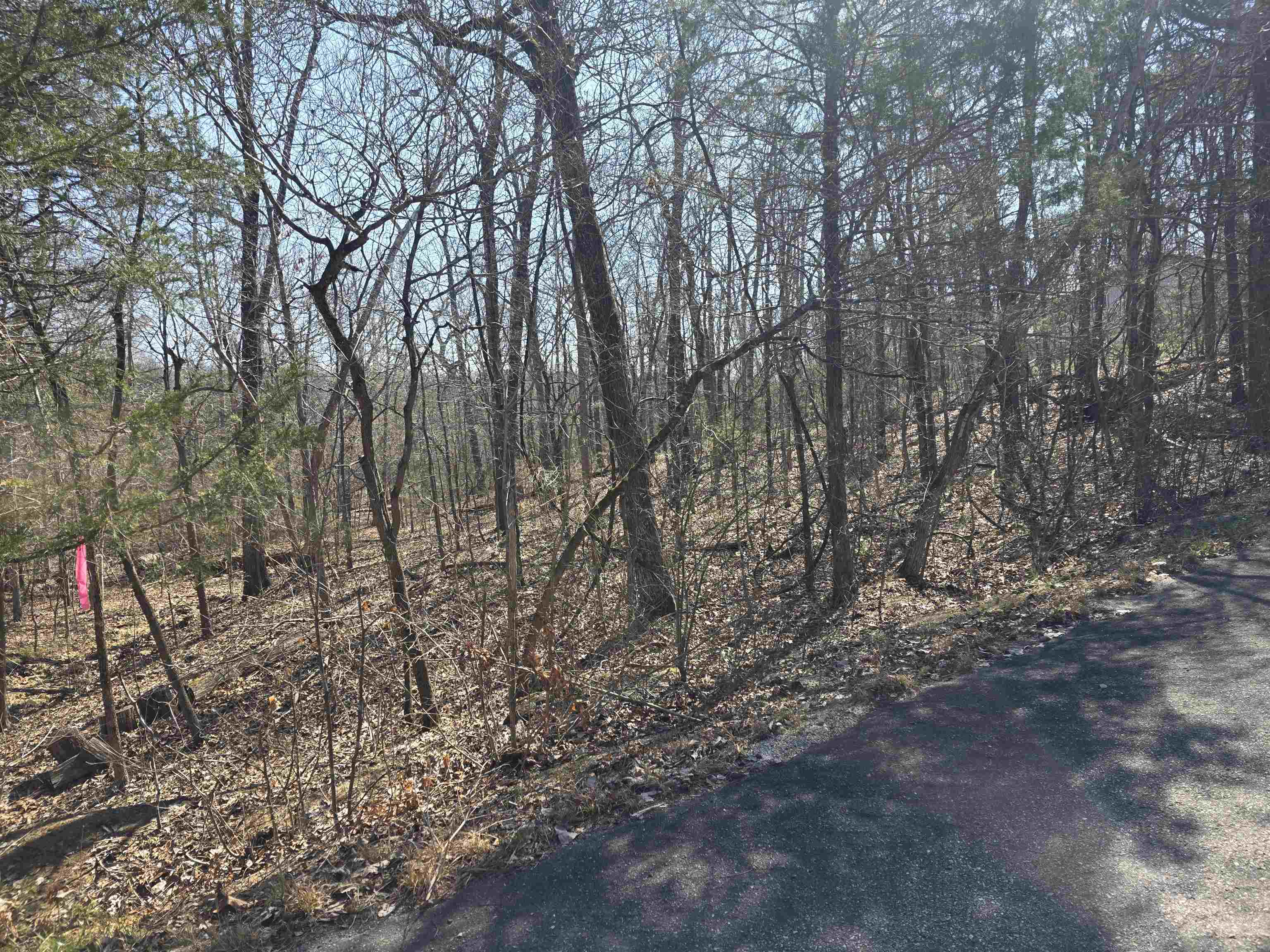 Photo 9 - Vacant Land for sale – L16 B8  Lochloosa   Cherokee Village, AR