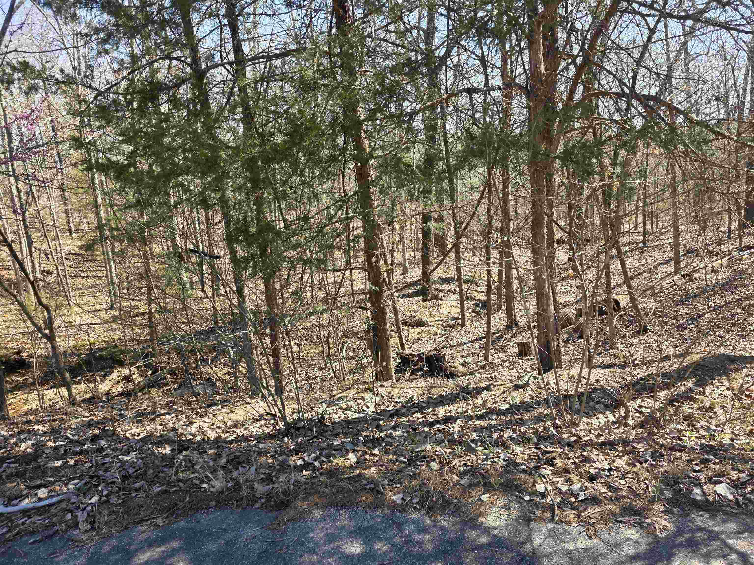 Photo 10 - Vacant Land for sale – L16 B8  Lochloosa   Cherokee Village, AR