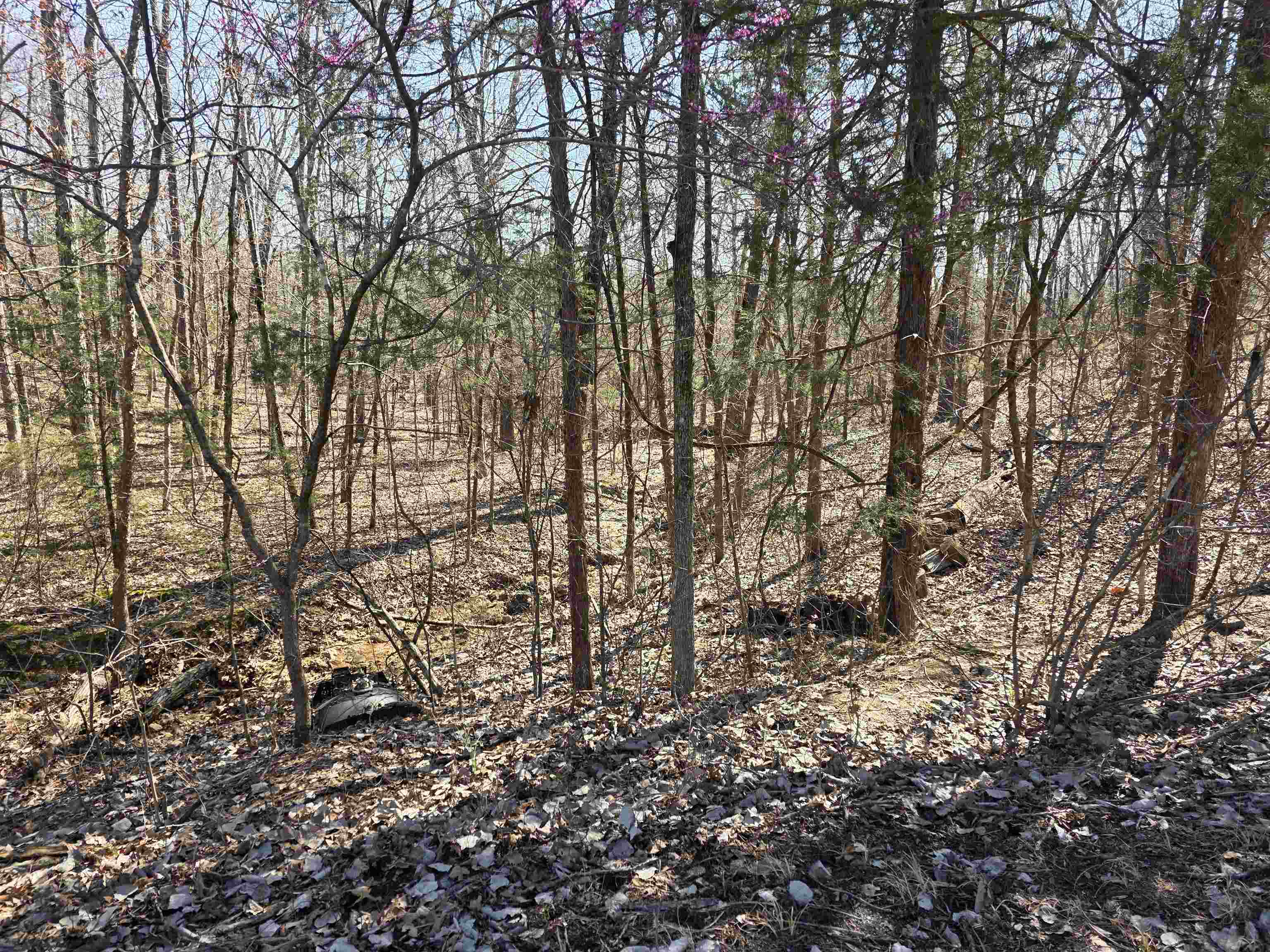 Vacant Land for sale – L15 B8  Lochloosa   Cherokee Village, AR