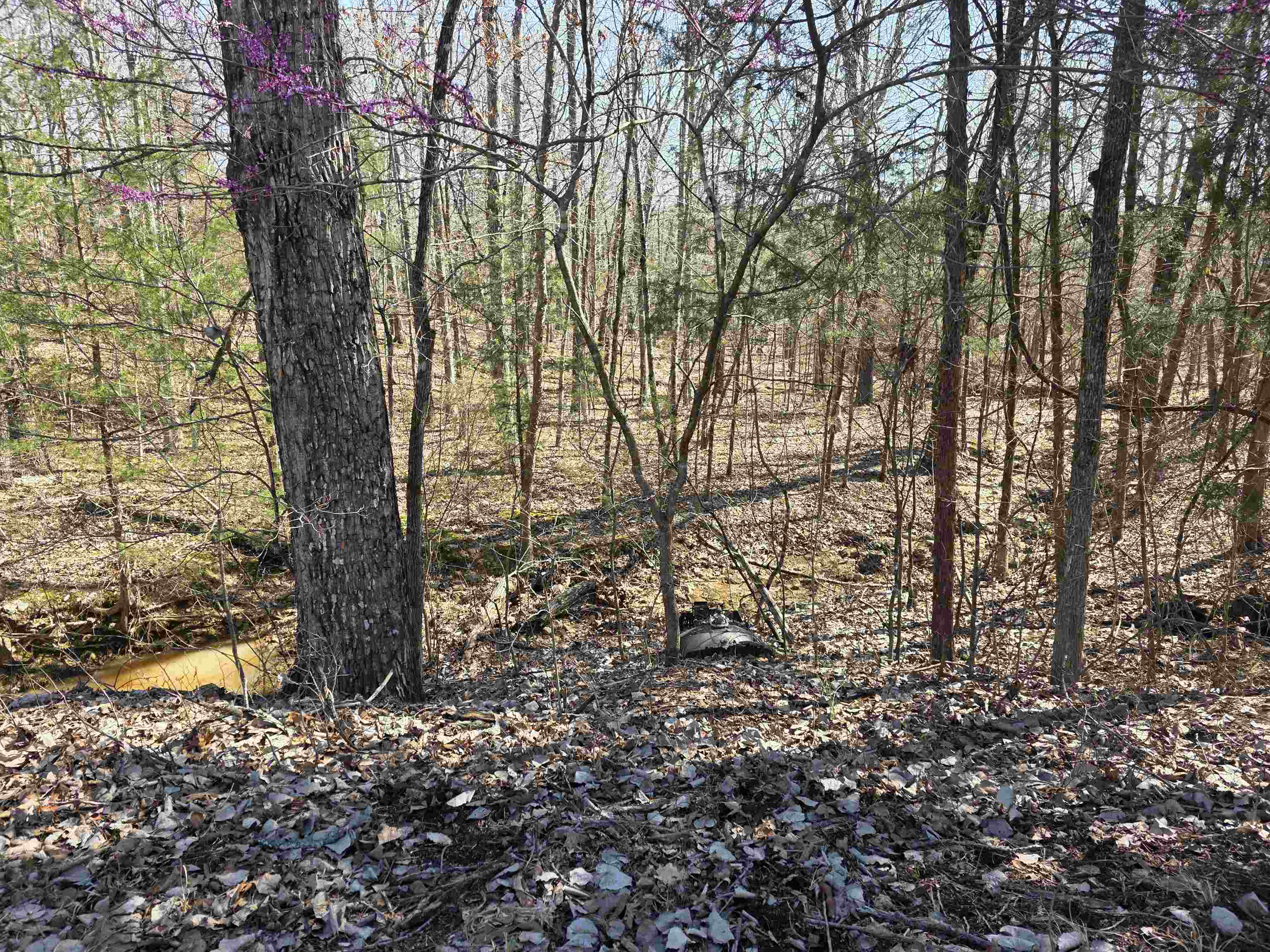 Photo 2 - Vacant Land for sale – L15 B8  Lochloosa   Cherokee Village, AR