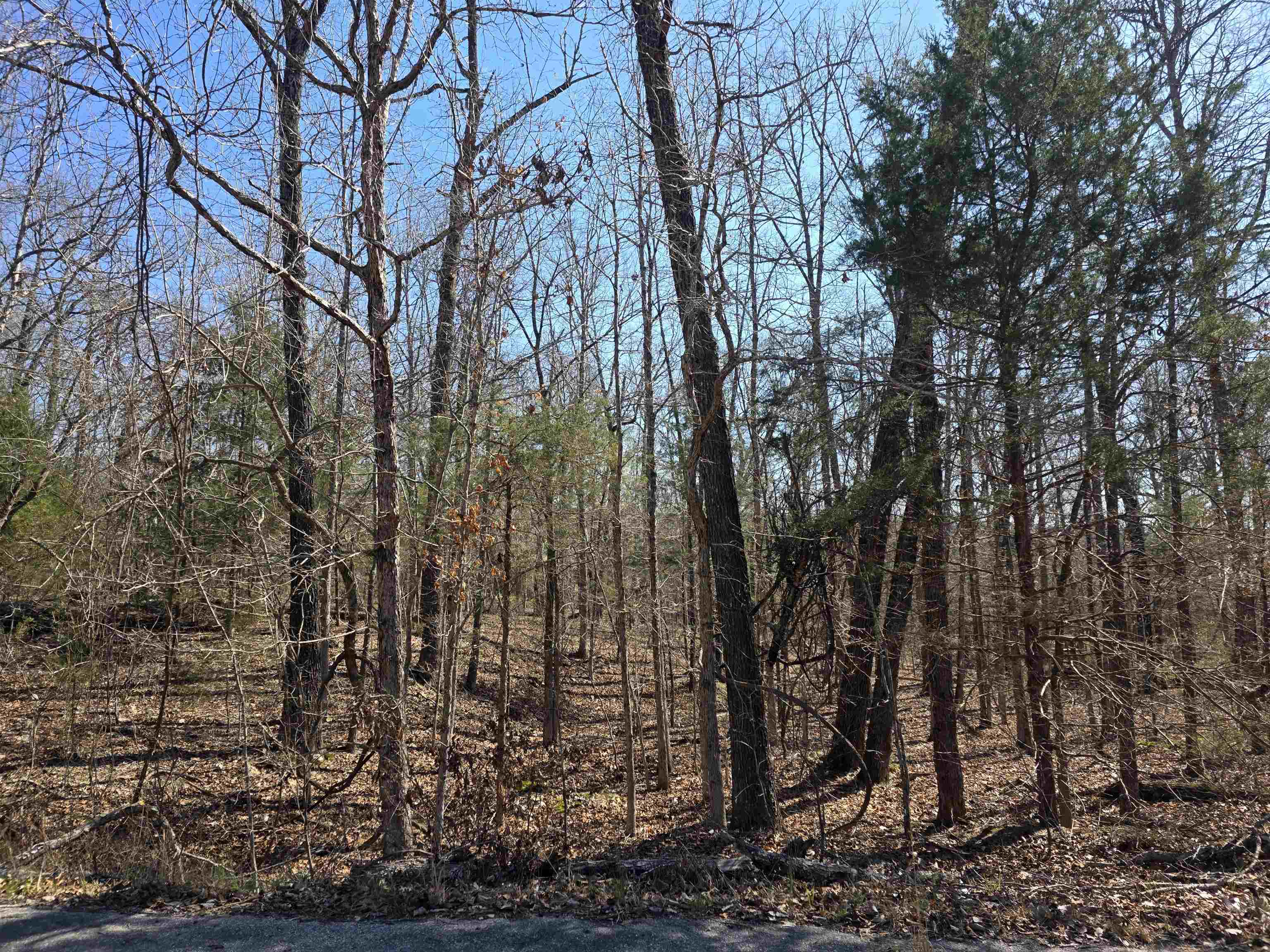 Photo 11 - Vacant Land for sale – L15 B8  Lochloosa   Cherokee Village, AR