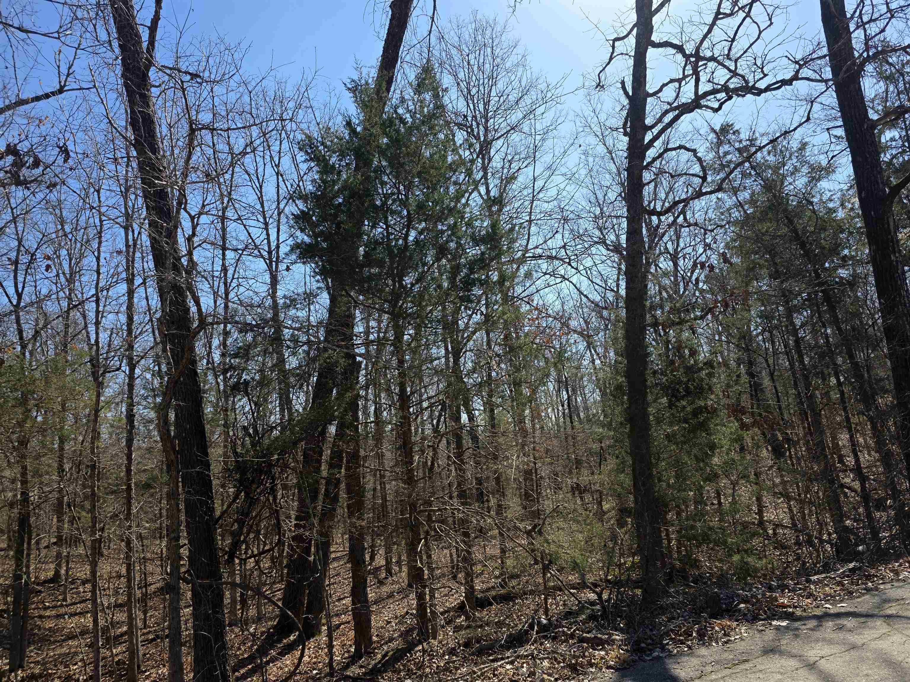 Photo 12 - Vacant Land for sale – L15 B8  Lochloosa   Cherokee Village, AR